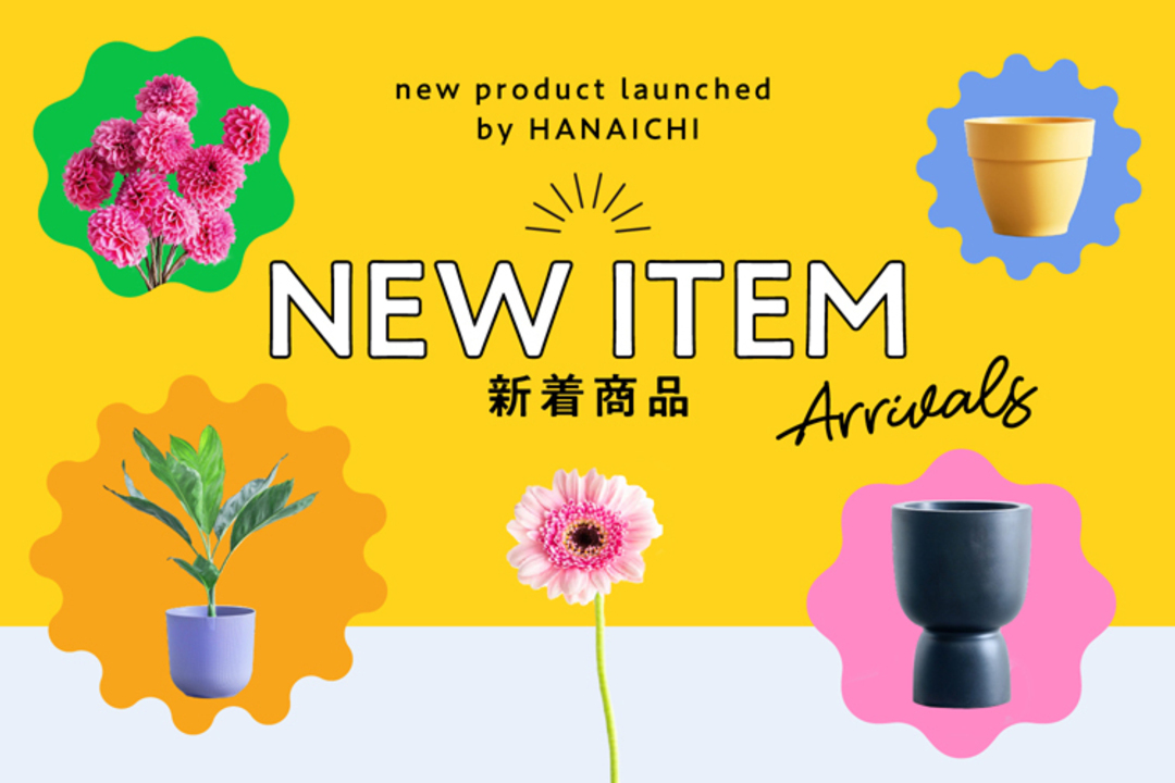 新商品特集