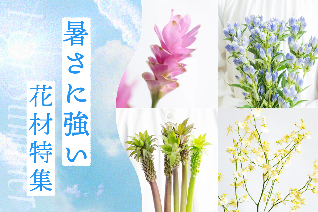 暑さに強い花材特集