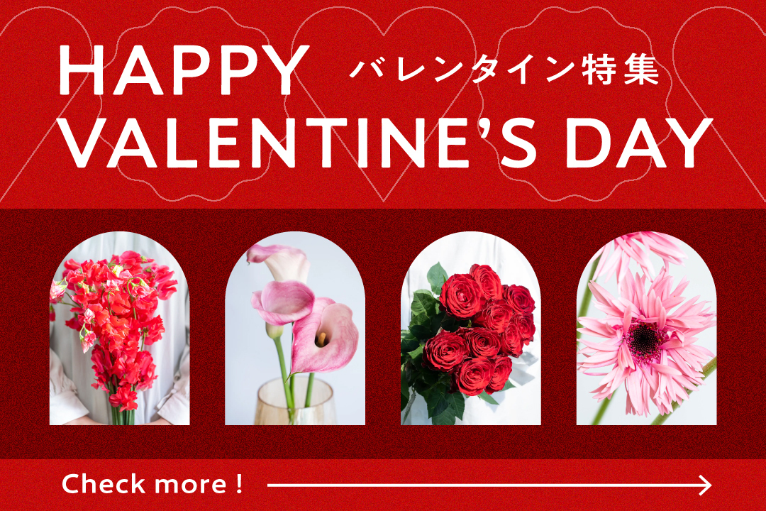 バレンタイン特集