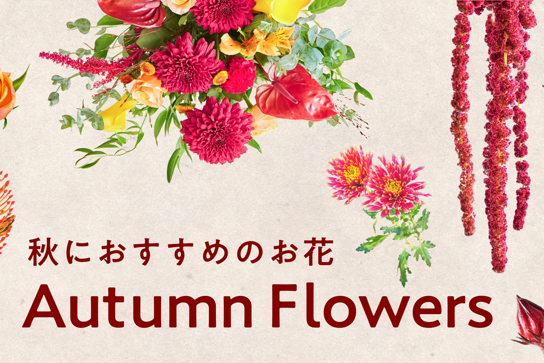 秋の花材