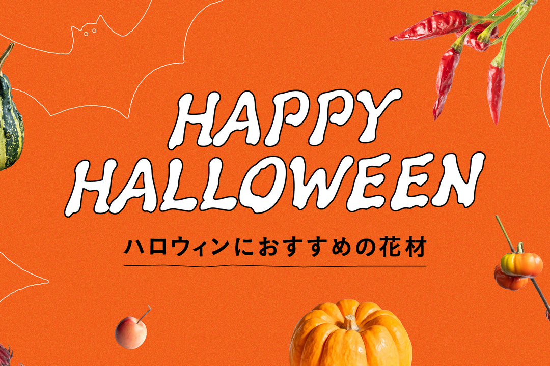 ハロウィンにおすすめの花材