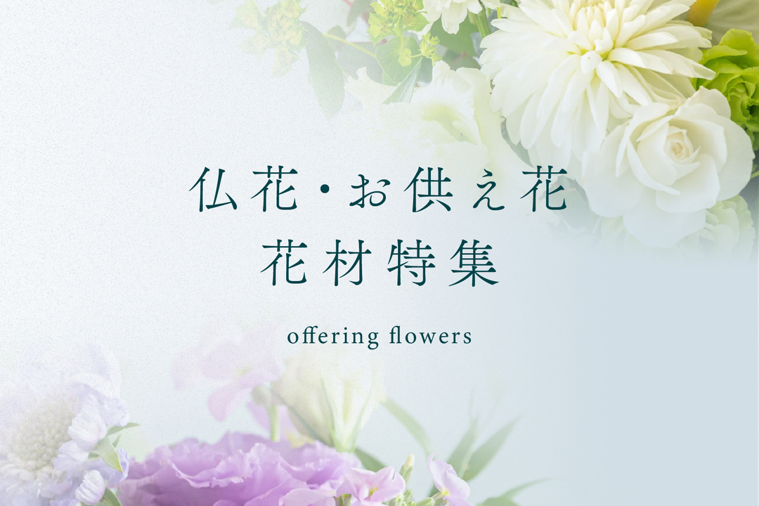 仏花・お供え花特集