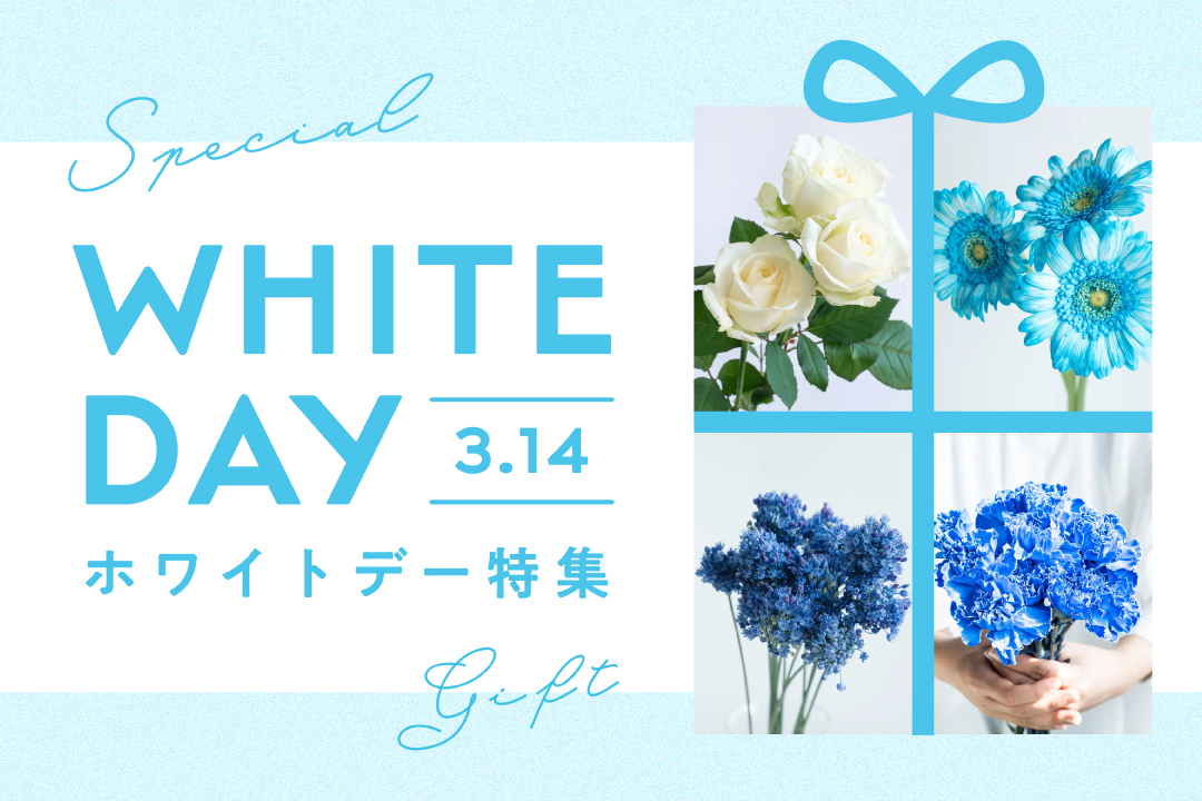 ホワイトデー特集