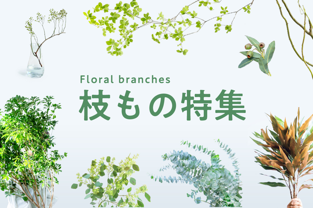 枝物特集