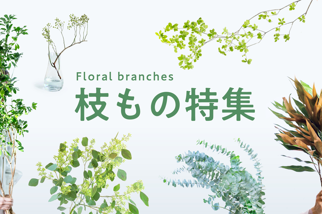 枝もの特集