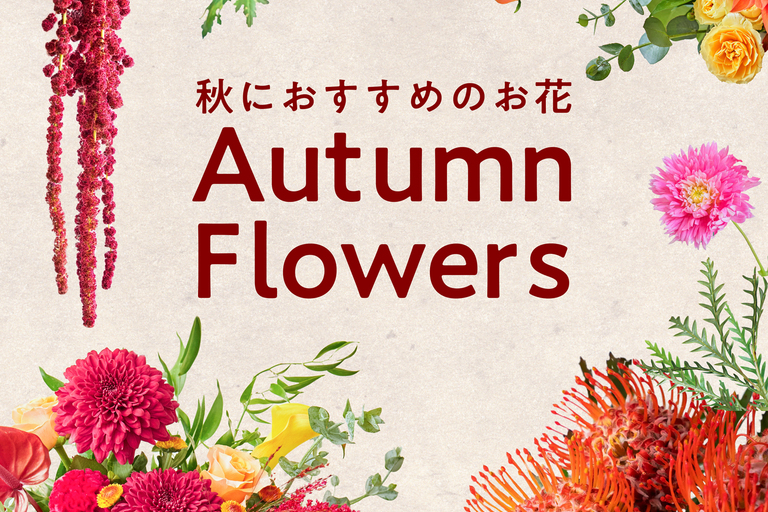 秋の花材