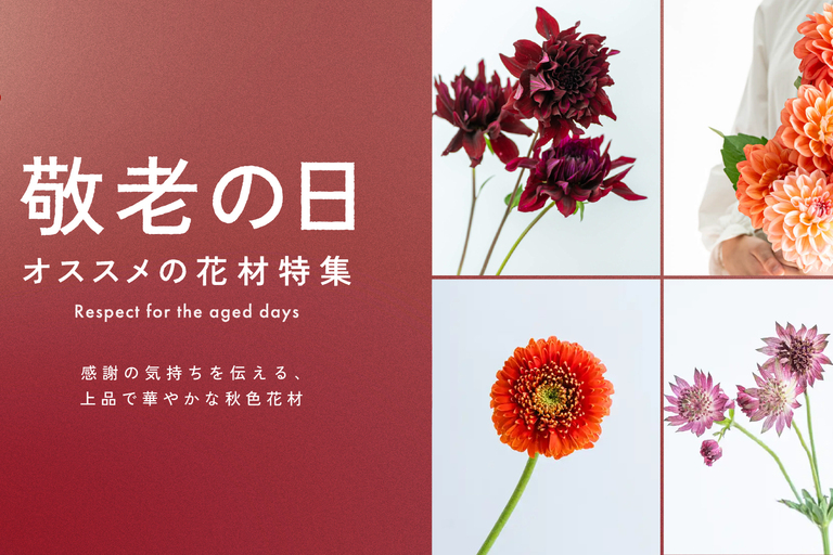 敬老の日におすすめの花材