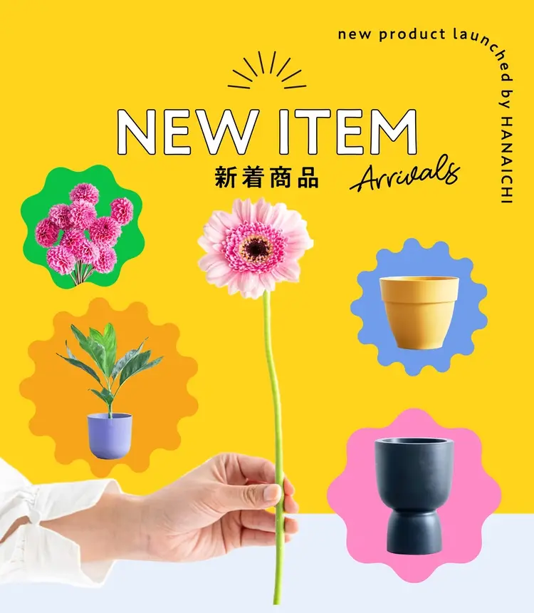 新商品一覧｜ハナイチ｜花と植物、資材の仕入れサイト