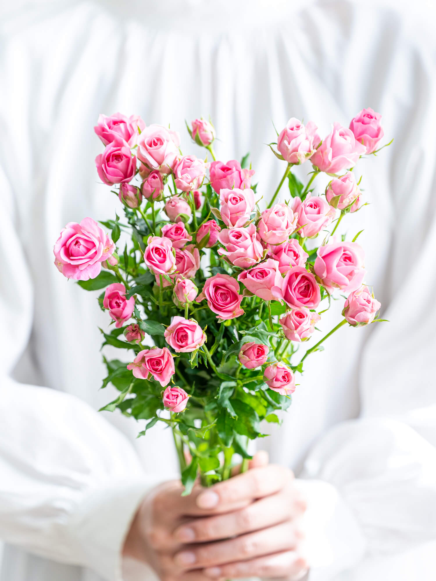 B1サイズポスター「ピンクスゥイーツ~鋳薔薇それから~」 ダスティピンク薔薇フラワーポスター | Poster Store JP