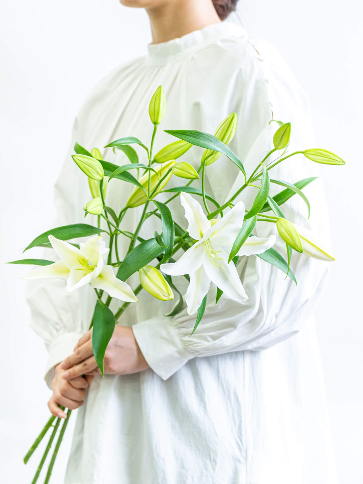 ユリ特集｜花の仕入れを簡単に。花材の卸通販｜ハナイチ