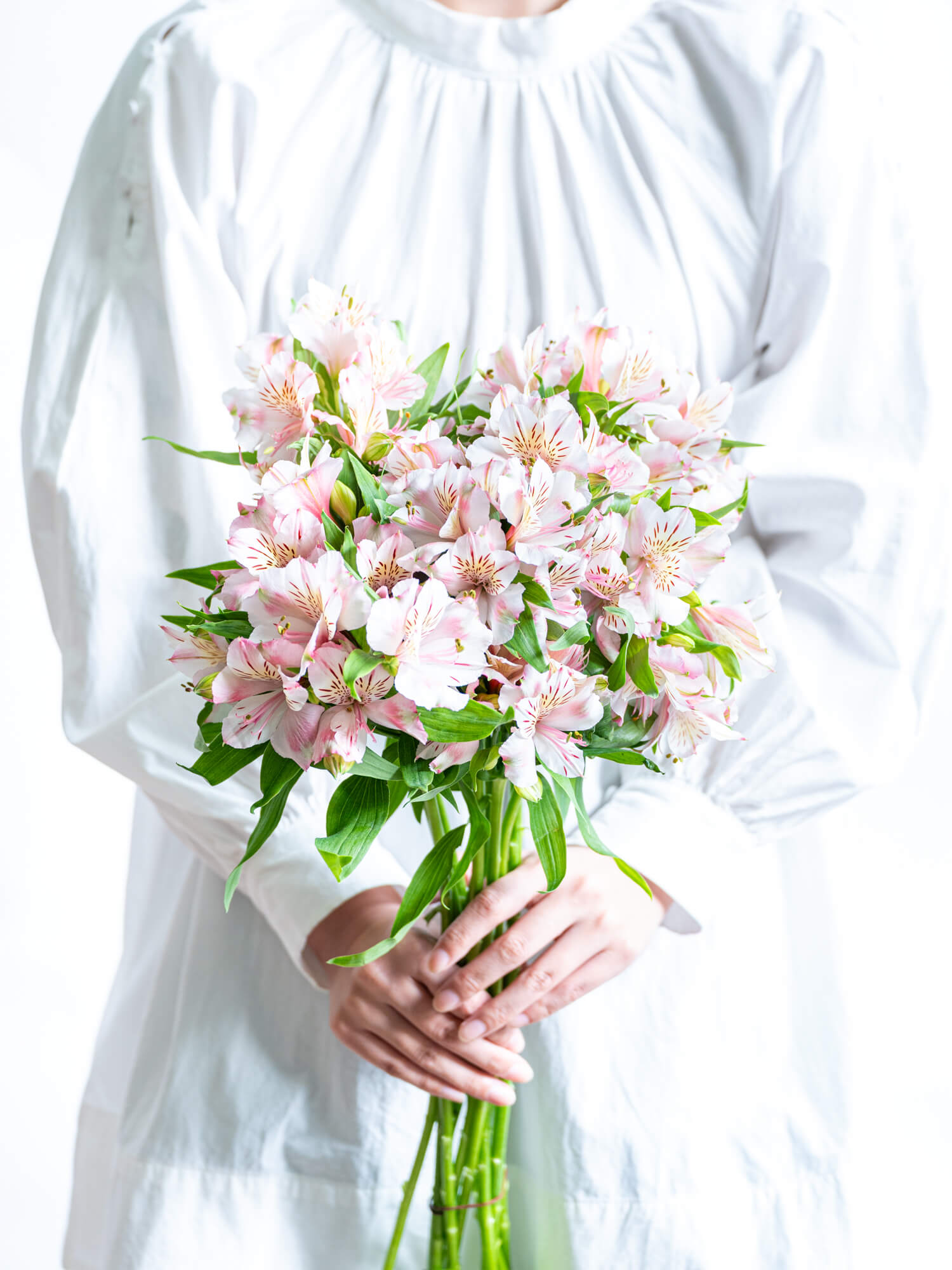 アルストロメリア （淡ピンク） ピンクティアラ｜ハナイチ｜花と植物