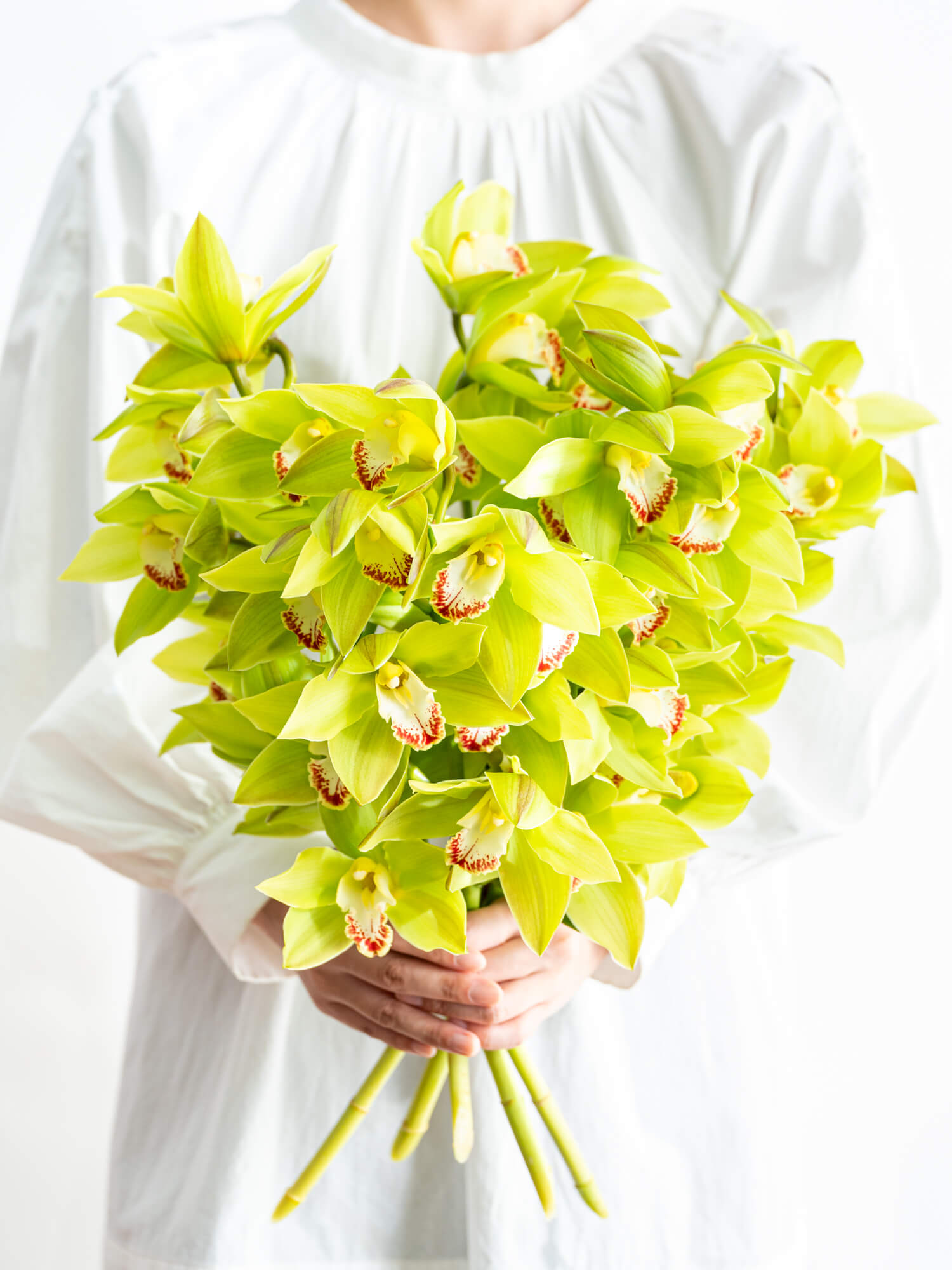 グラジオラス（紫）エクスペリエンス｜花の仕入れを簡単に。花材の卸