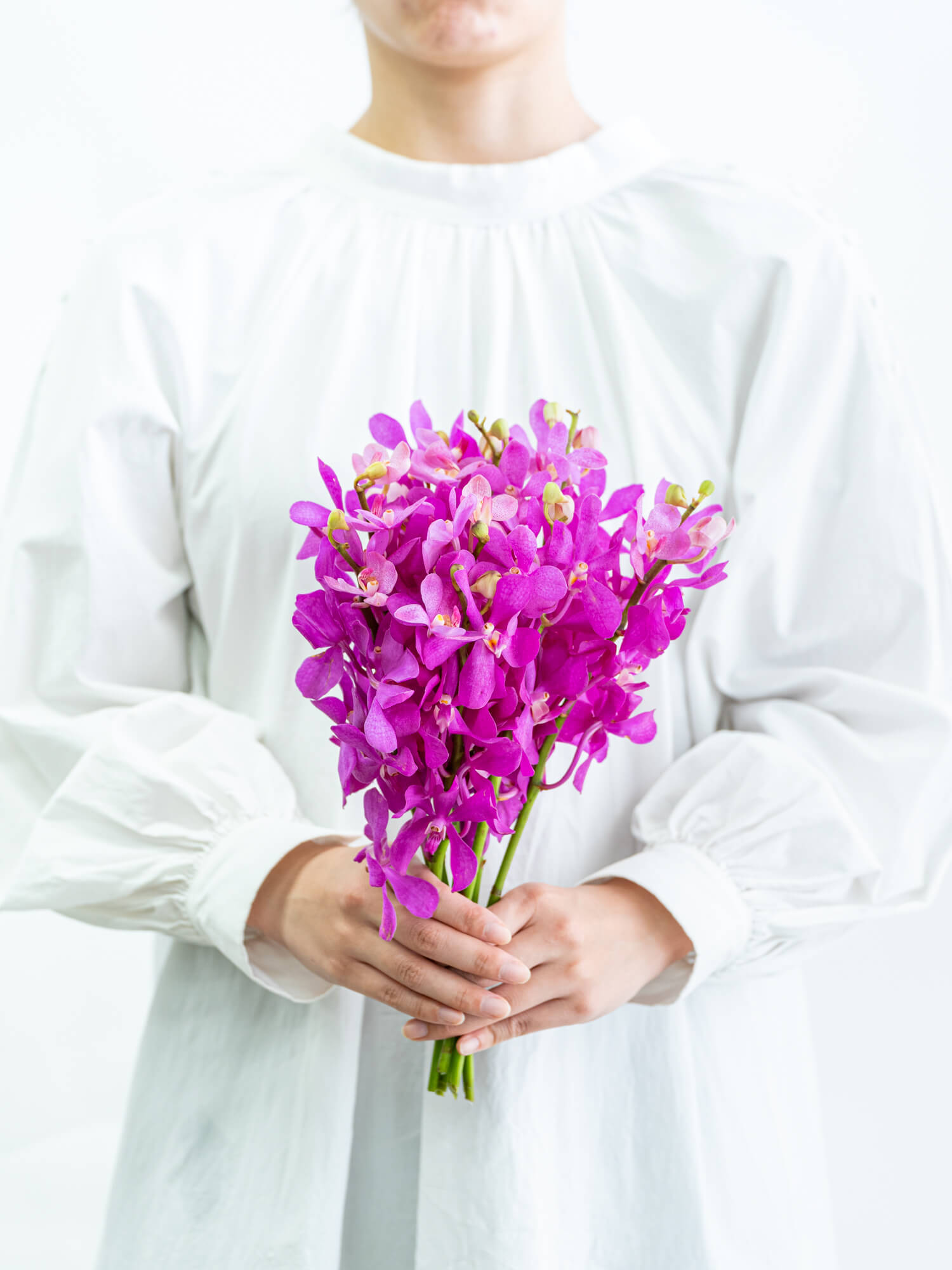 モカラ（紫）カリプソ｜花の仕入れを簡単に。花材の卸通販｜ハナイチ