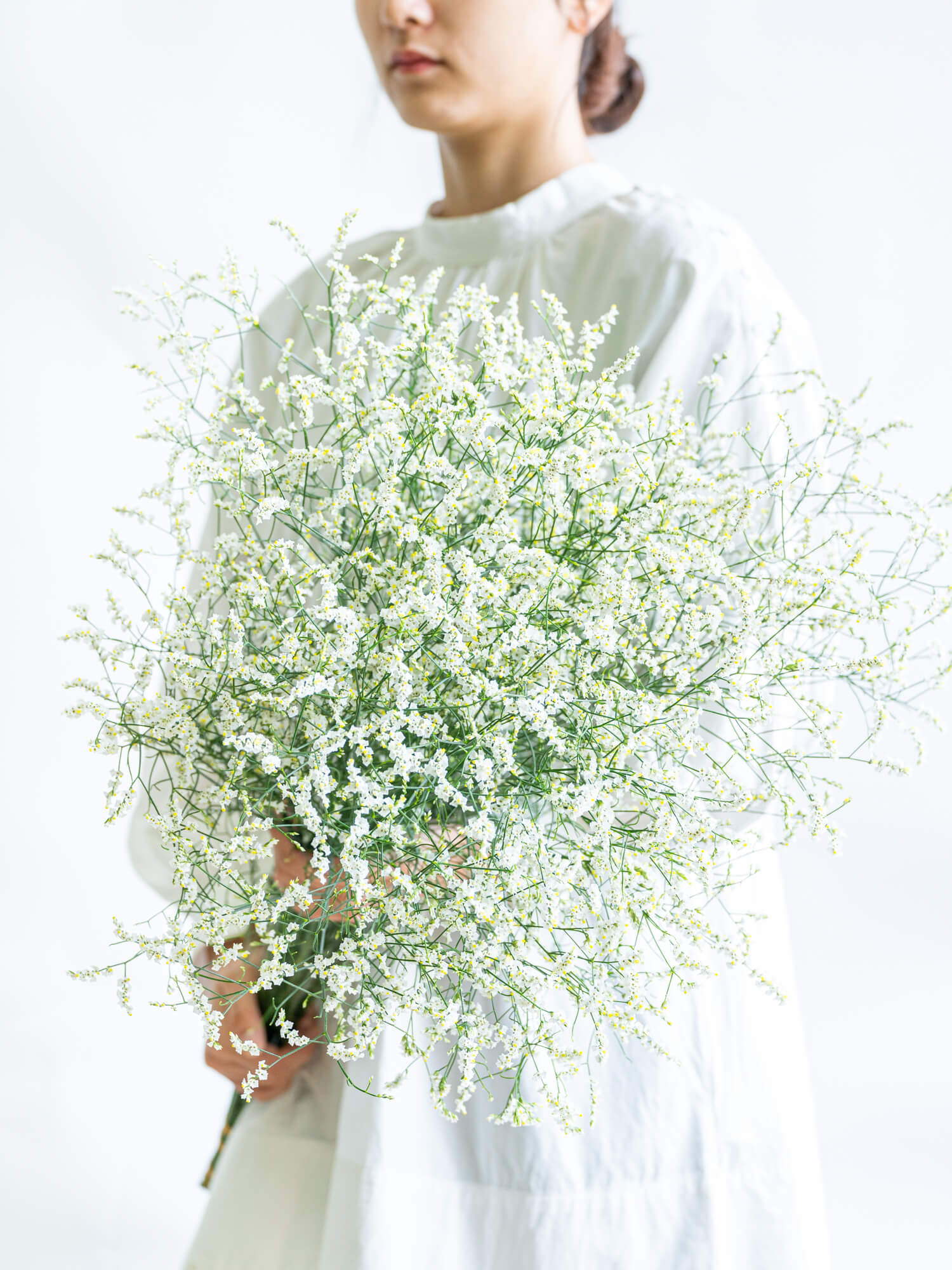 スターチスの花材｜花の仕入れを簡単に。花材の卸通販｜ハナイチ