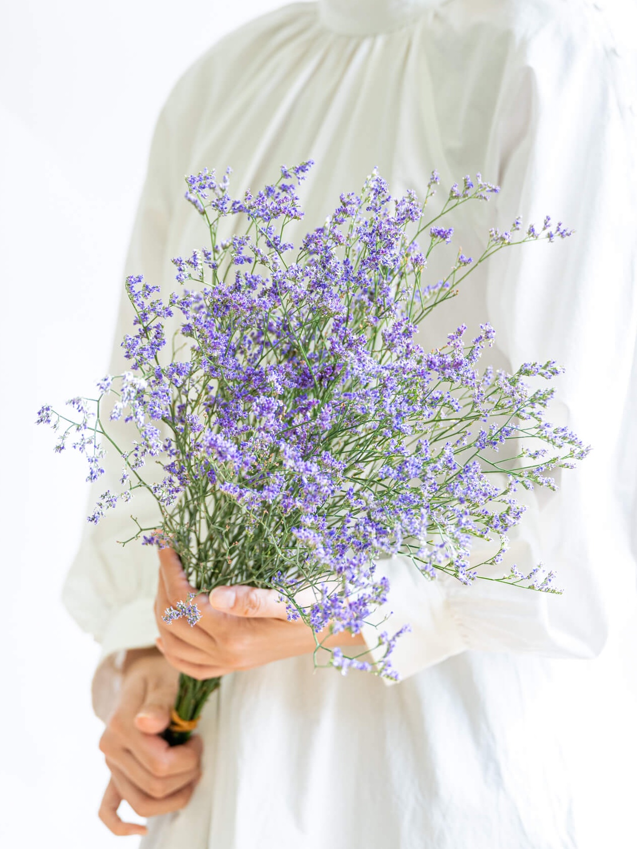紫色のハスの花 8本 HBスターチス（紫）ブルーファンタジアマリン｜花の仕入れを簡単に。花