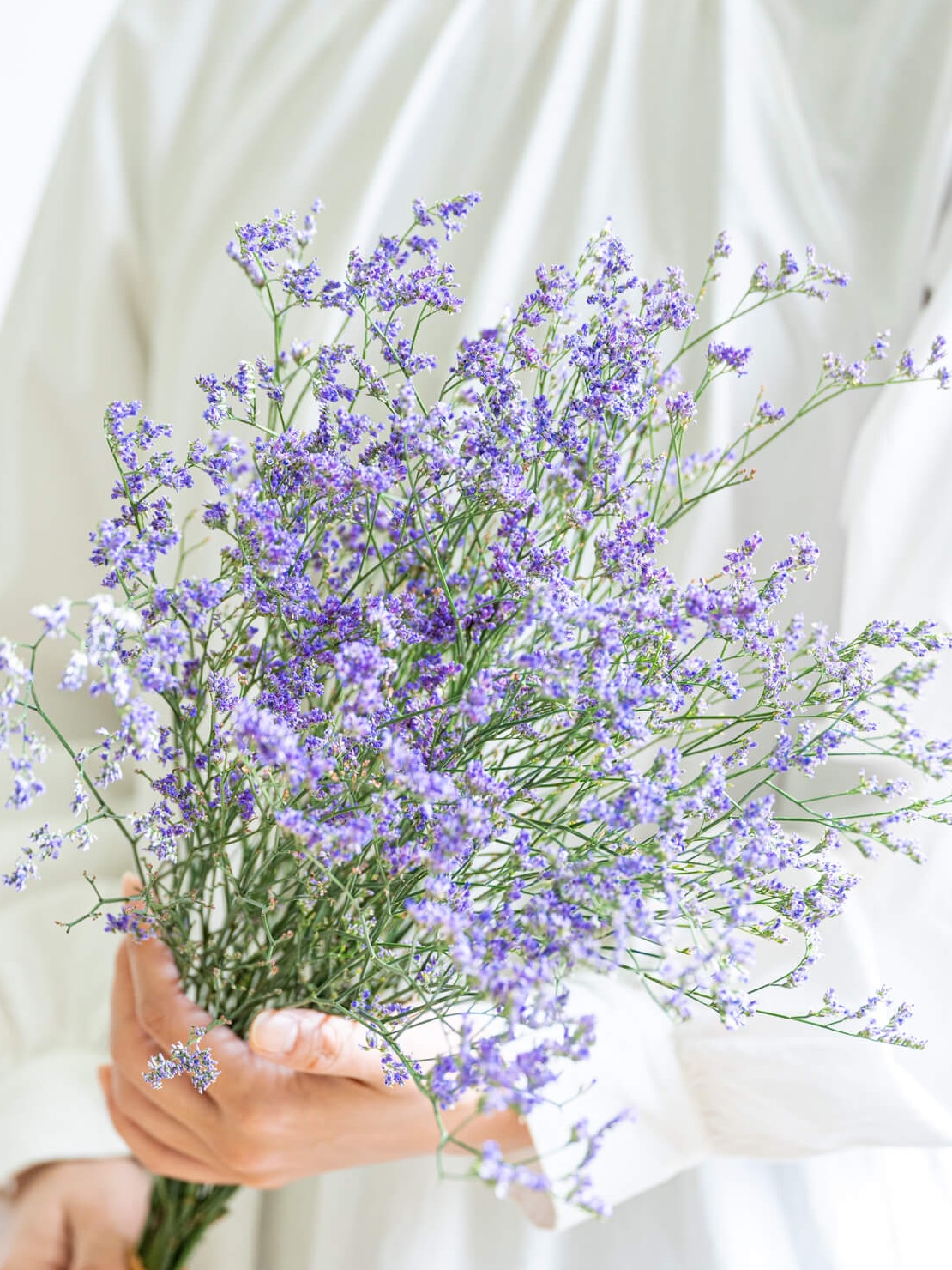 スイートピー（白）おまかせ品種｜花の仕入れを簡単に。花材の卸通販