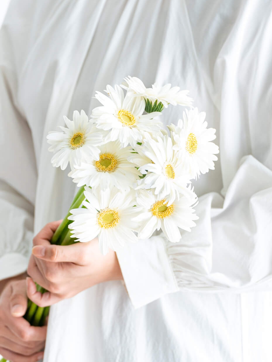 ガーベラ 一重（白）ノート｜花の仕入れを簡単に。花材の卸通販｜ハナイチ