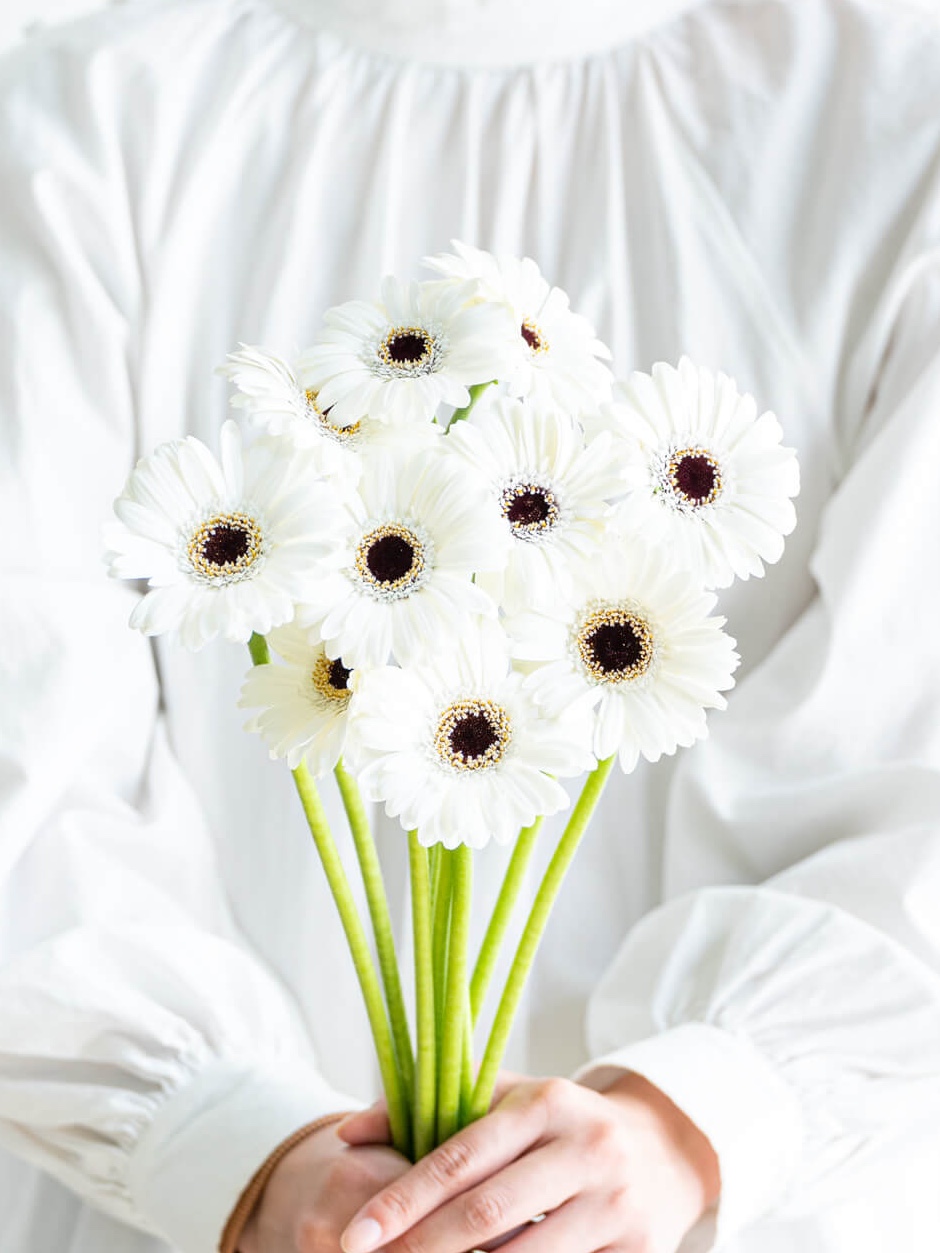 ガーベラの商品｜花の仕入れを簡単に。花材の卸通販｜ハナイチ