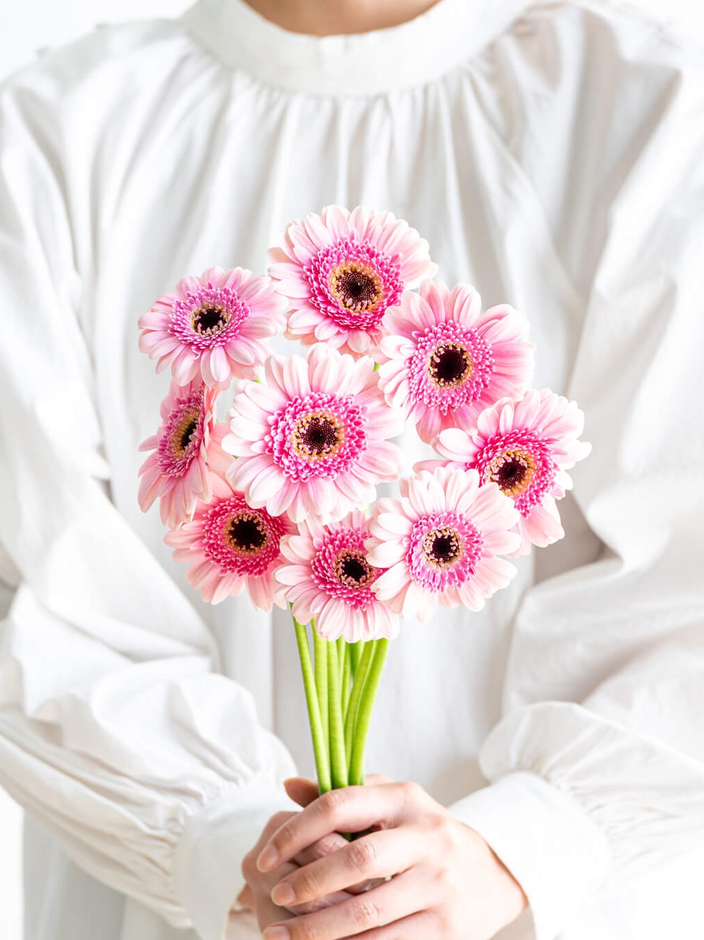 ガーベラの商品｜花の仕入れを簡単に。花材の卸通販｜ハナイチ