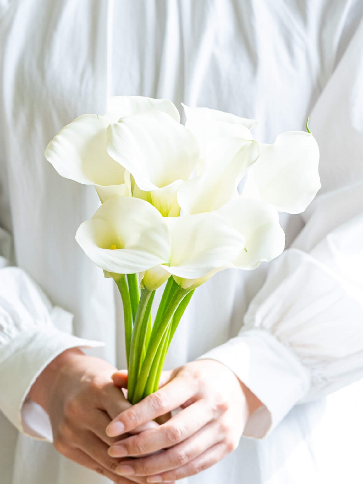 トニー様／確認用　カラーの花(白) カラー（白）キャプテンベンチュラ｜花の仕入れを簡単に。花材の卸通販