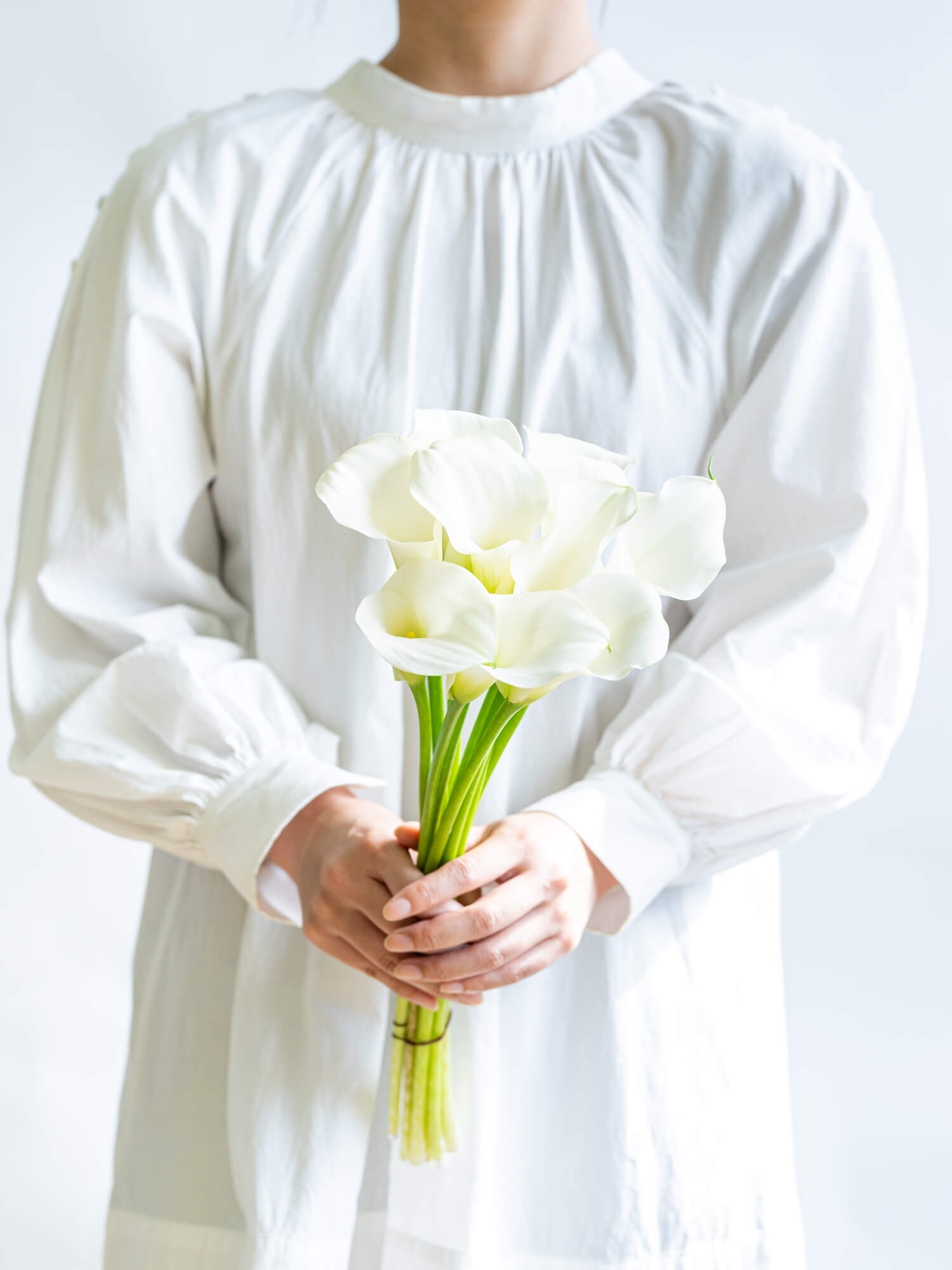 トニー様／確認用　カラーの花(白) カラー（白）キャプテンベンチュラ｜花の仕入れを簡単に。花材の卸通販