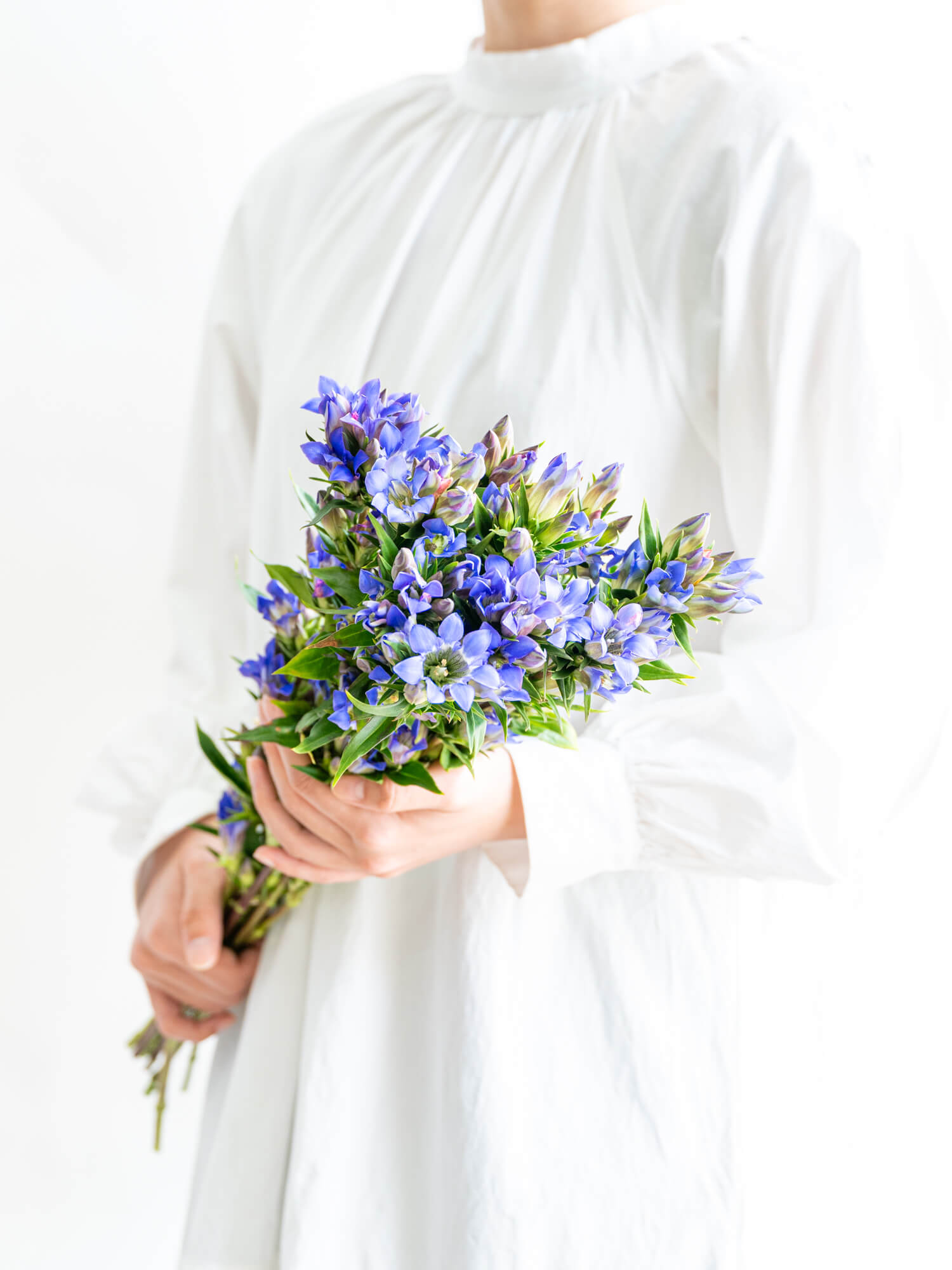 リンドウ（青）笹｜花の仕入れを簡単に。花材の卸通販｜ハナイチ