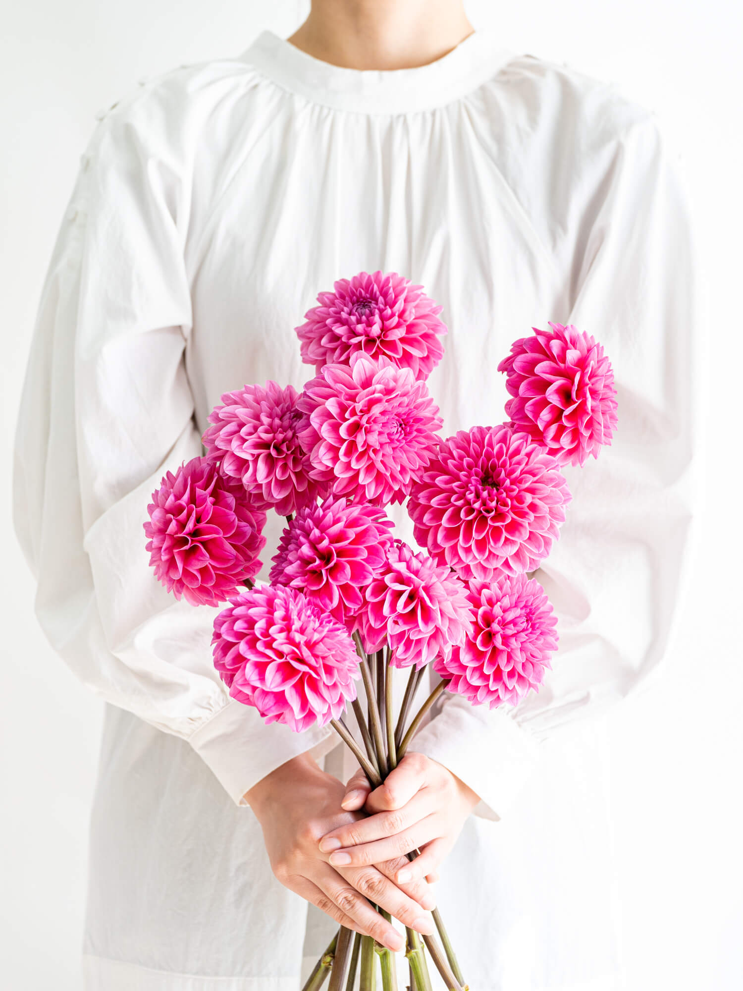 ダリアページ ダリアを使ったレストランの夏のディスプレイイメージ｜横浜