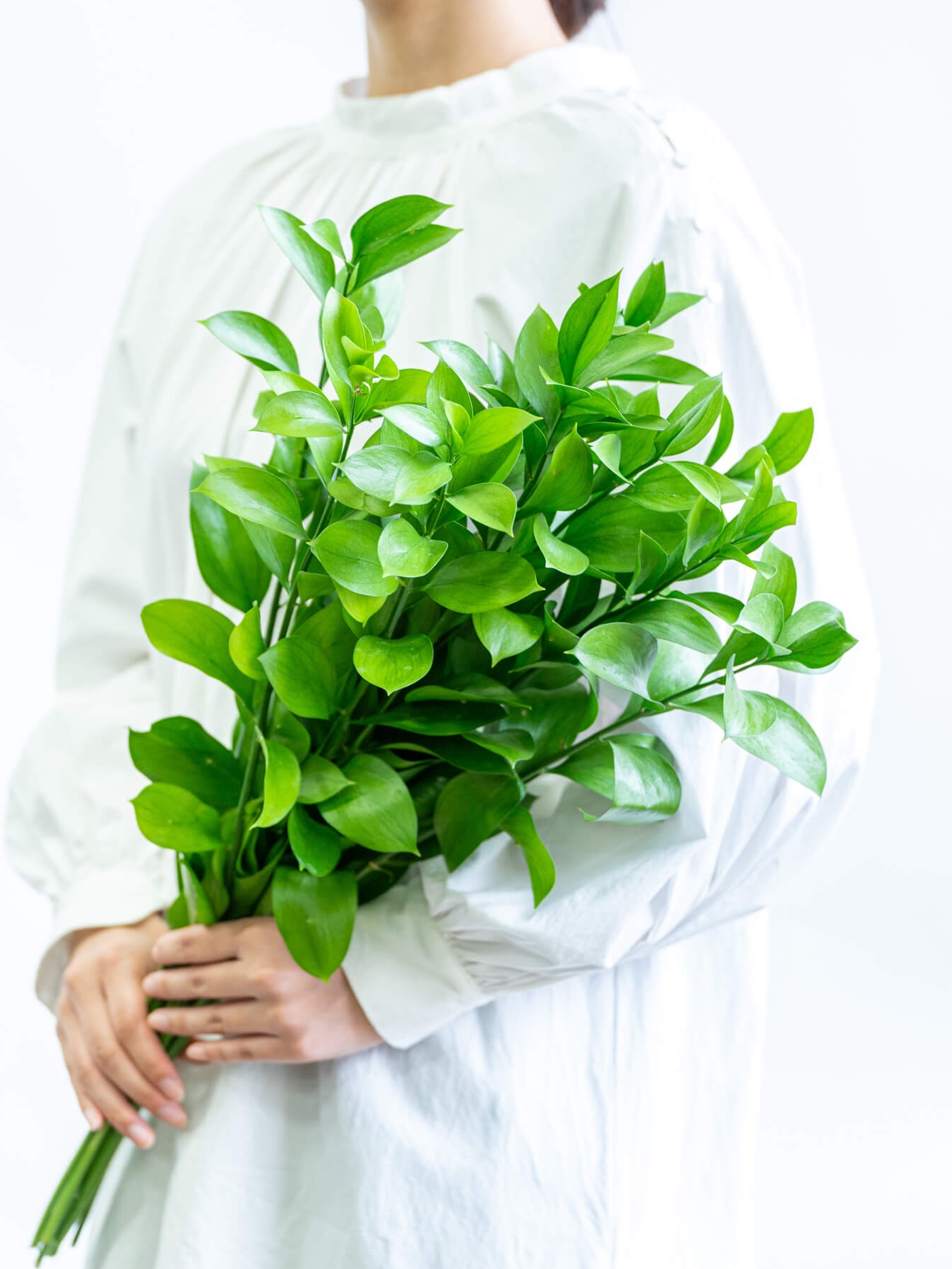 hajunane様ご確認用です☆フレームブーケ(中)ルスカス44 ルスカスの商品｜ハナイチ｜花と植物、資材の仕入れサイト