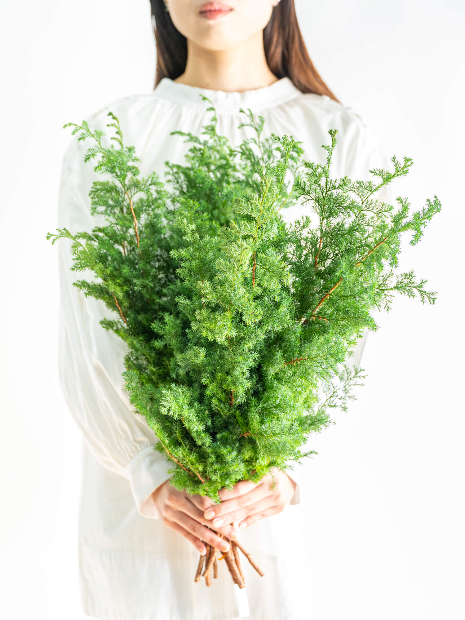 ヒムロスギ（緑）｜花の仕入れを簡単に。花材の卸通販｜ハナイチ