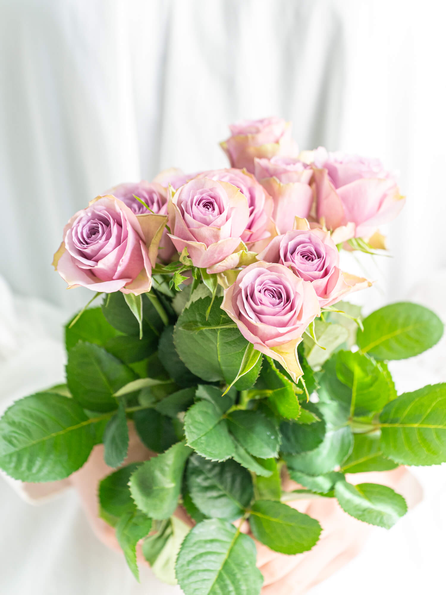 バラ （淡紫） ライラッククラシック｜ハナイチ｜花と植物、資材の