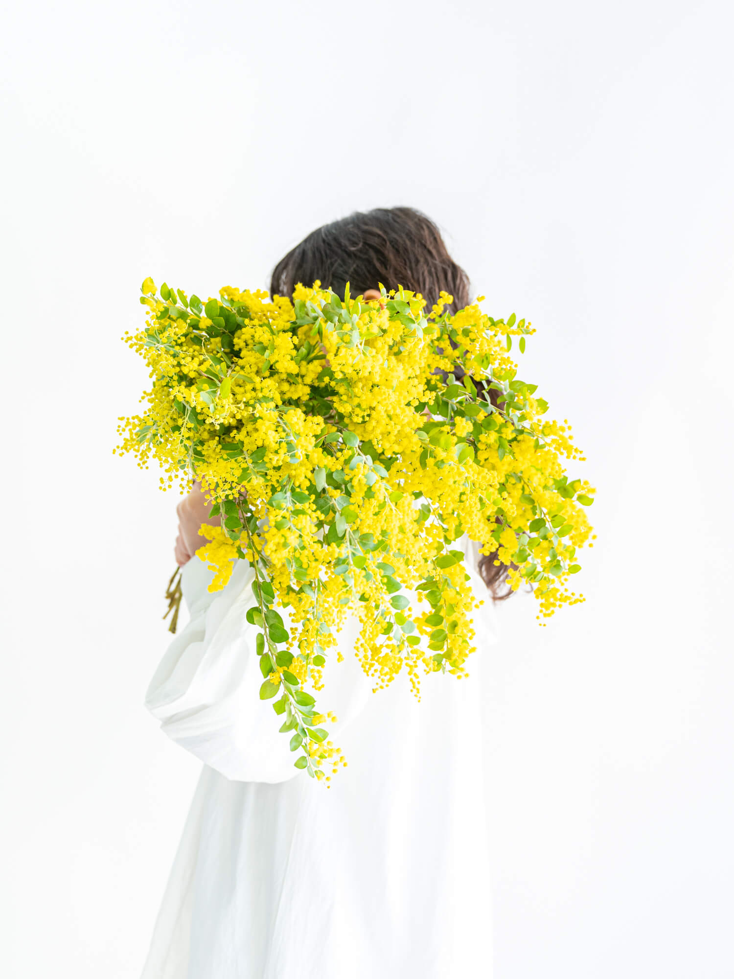 すべての商品｜ハナイチ｜花と植物、資材の仕入れサイト