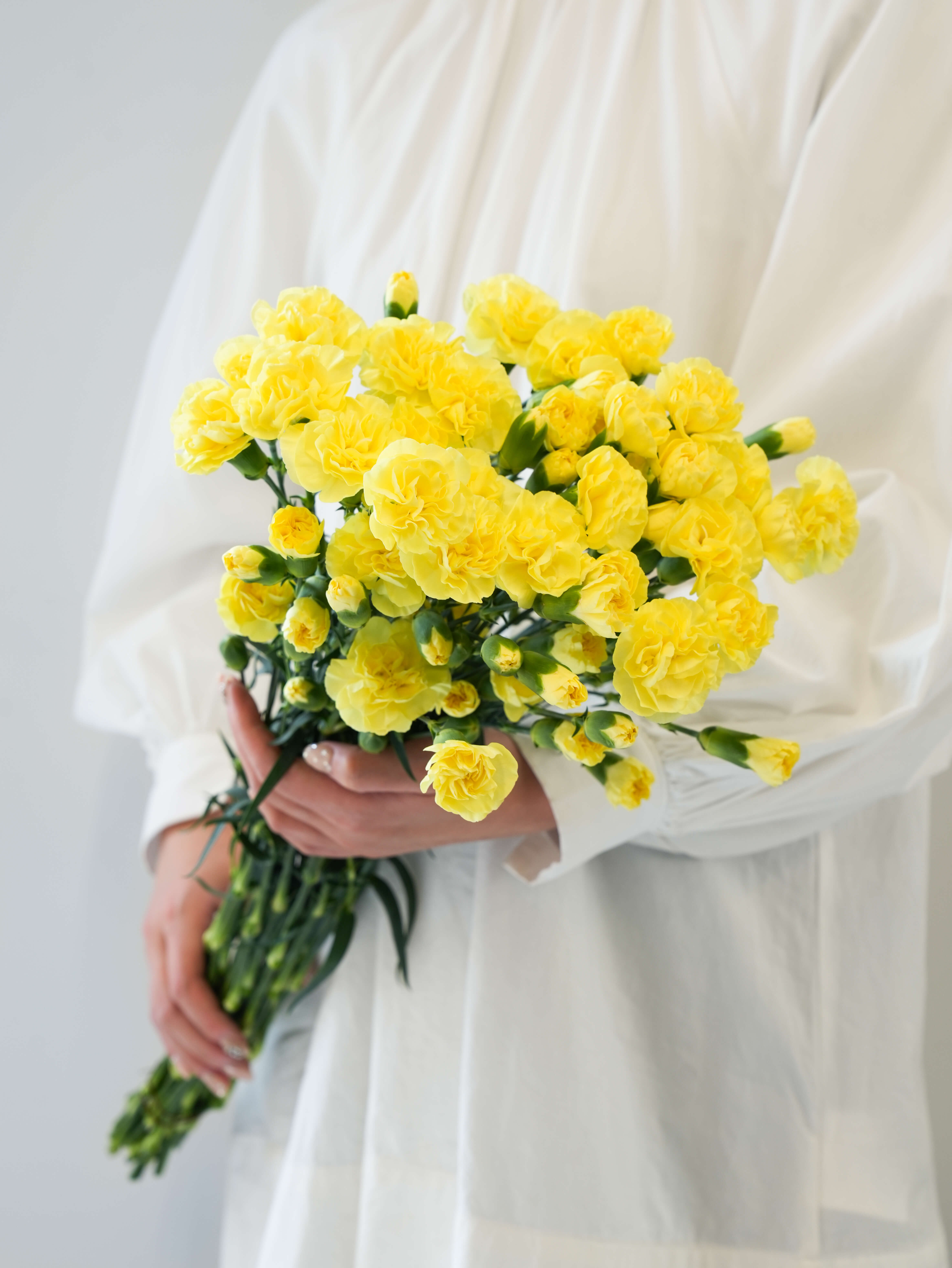 ★MARIA★さま専用♡yellow Flower SPカーネーション（黄）マリル｜ハナイチ｜花と植物、資材の仕入れサイト