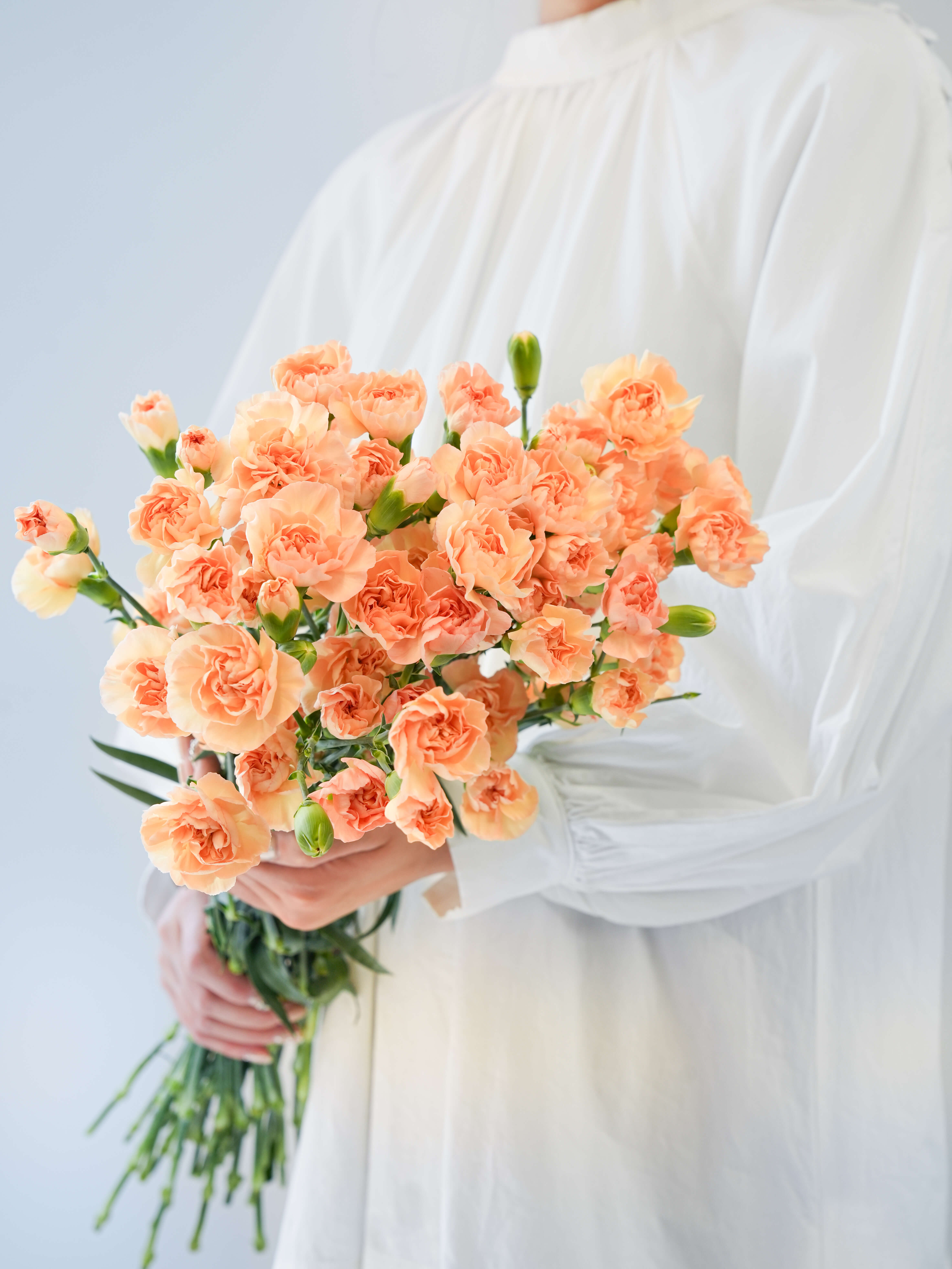 バラ（オレンジ）フォセット｜花の仕入れを簡単に。花材の卸通販｜ハナイチ