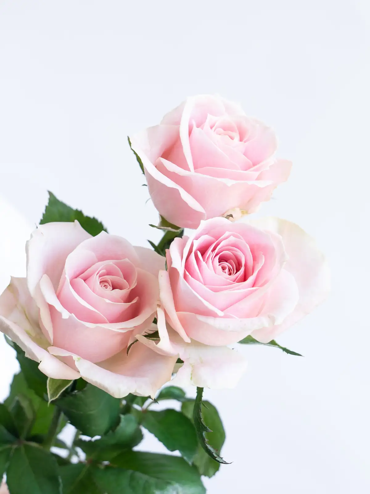 専用＊ミニバラとスイートピー　フェイクスワッグ 専用＊ミニバラとスイートピー フェイクスワッグ