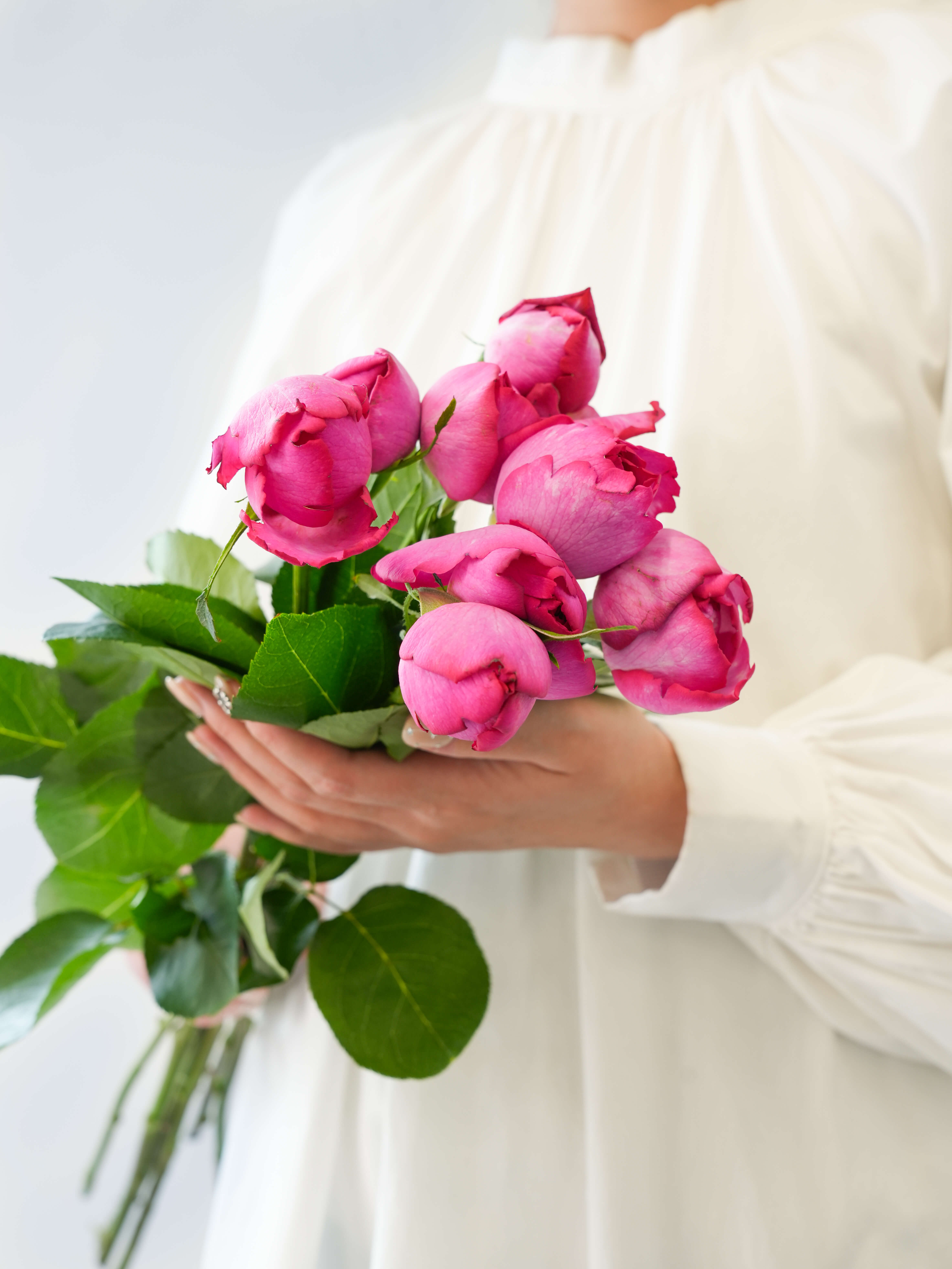バラ（濃ピンク）イブピアッチェ｜花の仕入れを簡単に。花材の卸通販