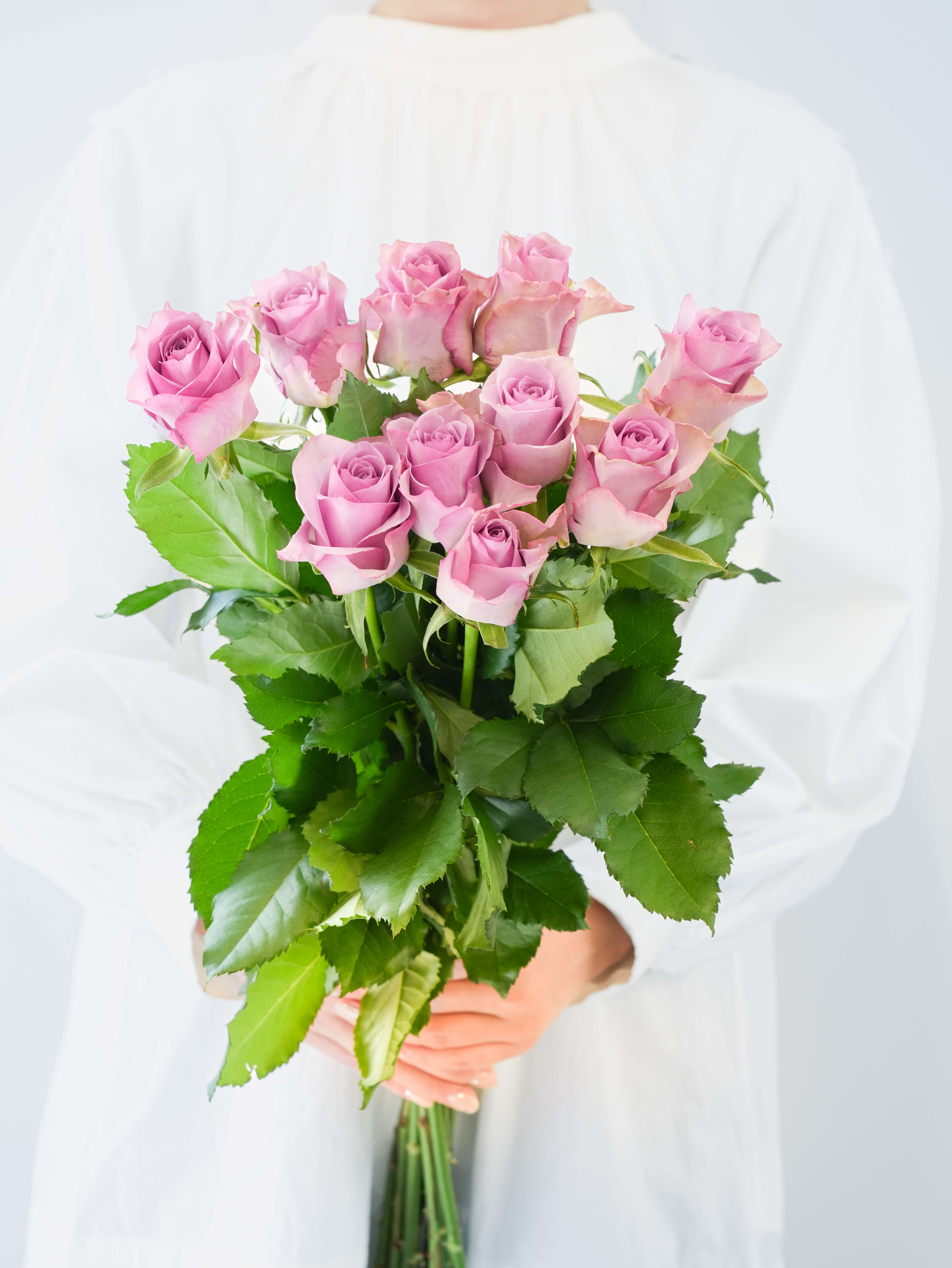 バラ（淡紫）ナイチンゲール｜花の仕入れを簡単に。花材の卸通販｜ハナイチ