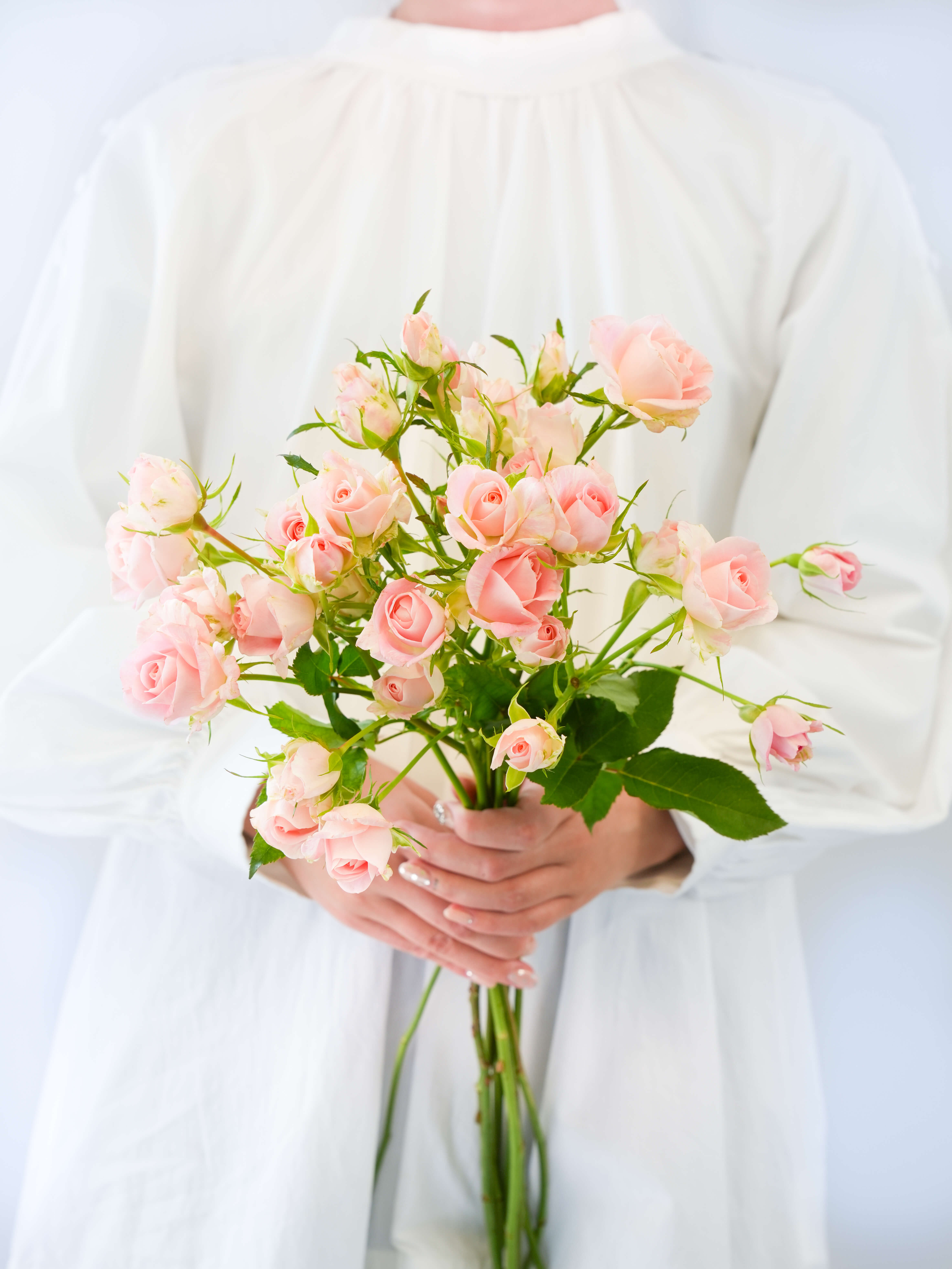 SPバラ（ピンク）ブリトーニ｜ハナイチ｜花と植物、資材の仕入れサイト