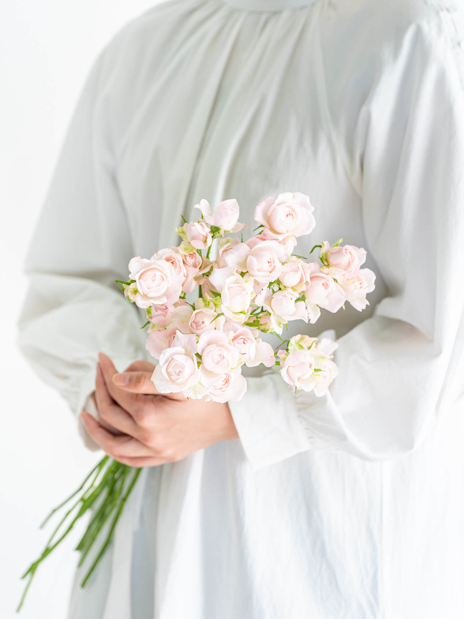 SPバラ（淡ピンク）おまかせ品種｜花の仕入れを簡単に。花材の卸通販