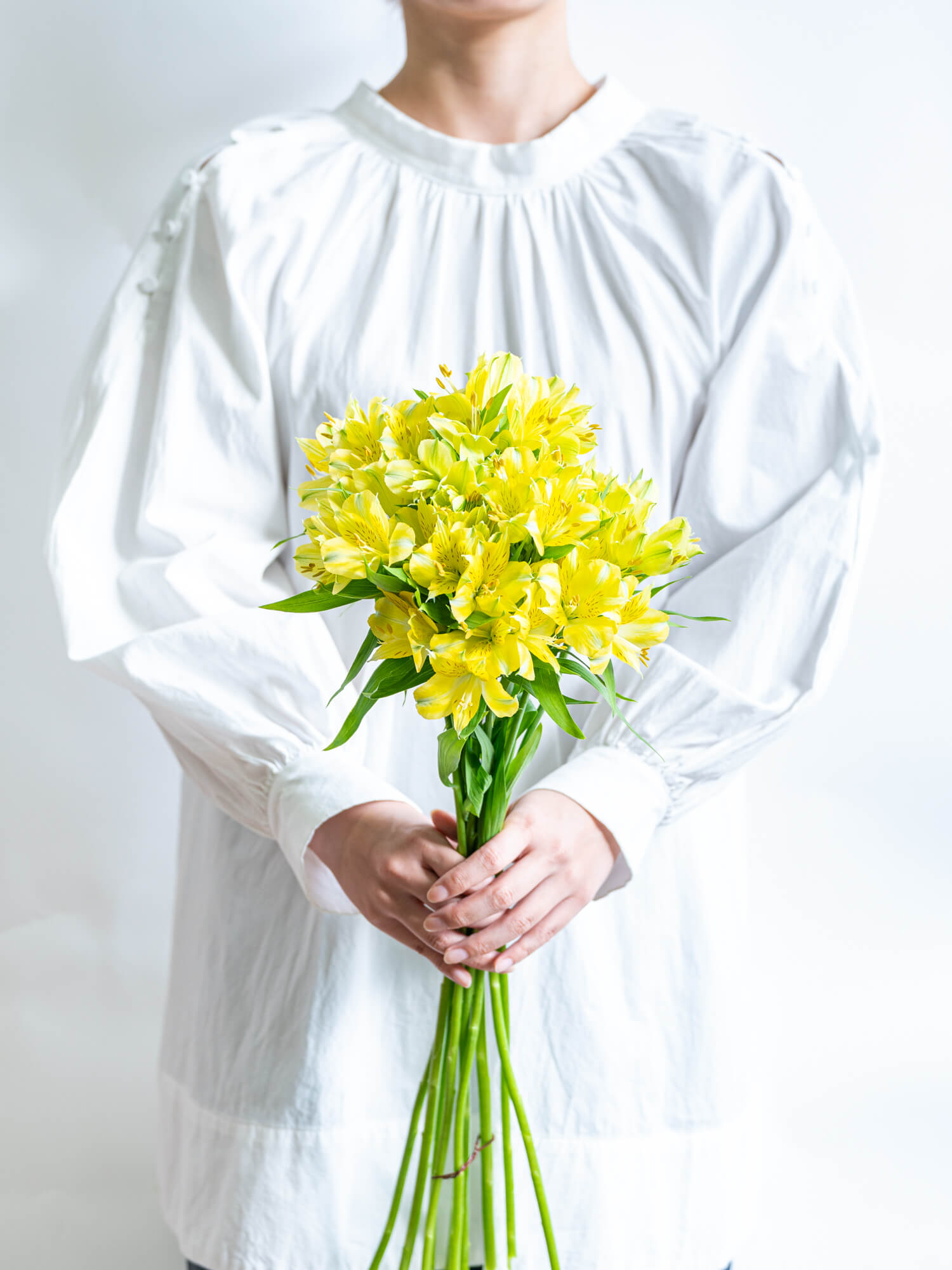 アルストロメリア （黄） おまかせ品種｜ハナイチ｜花と植物、資材の