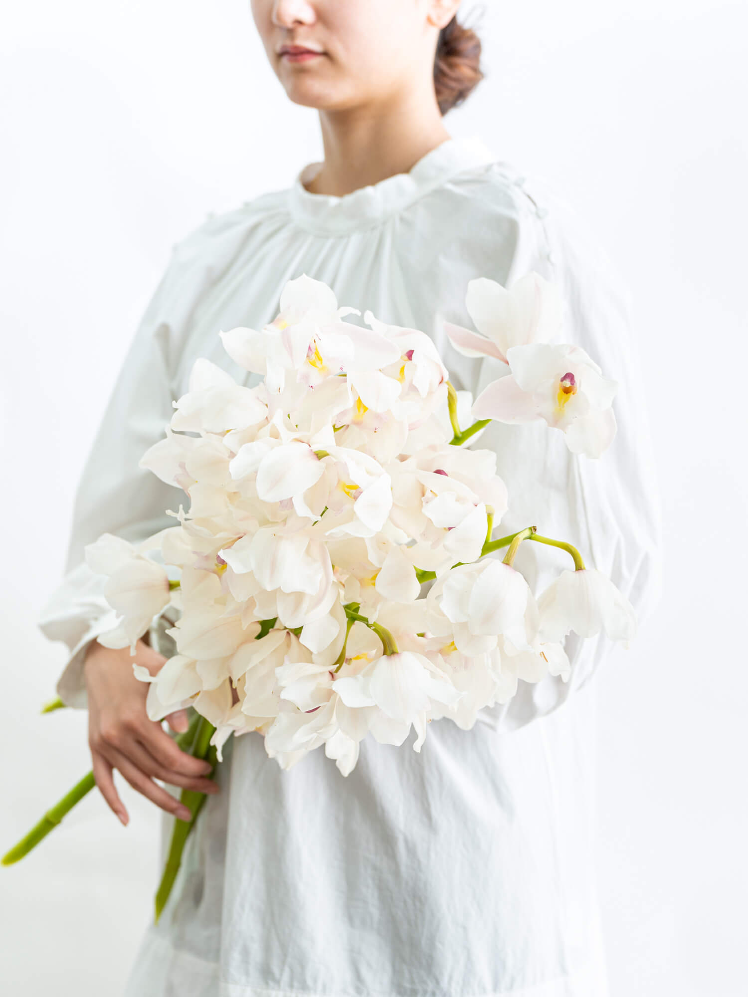 シンビジューム（白）おまかせ品種｜花の仕入れを簡単に。花材の卸通販