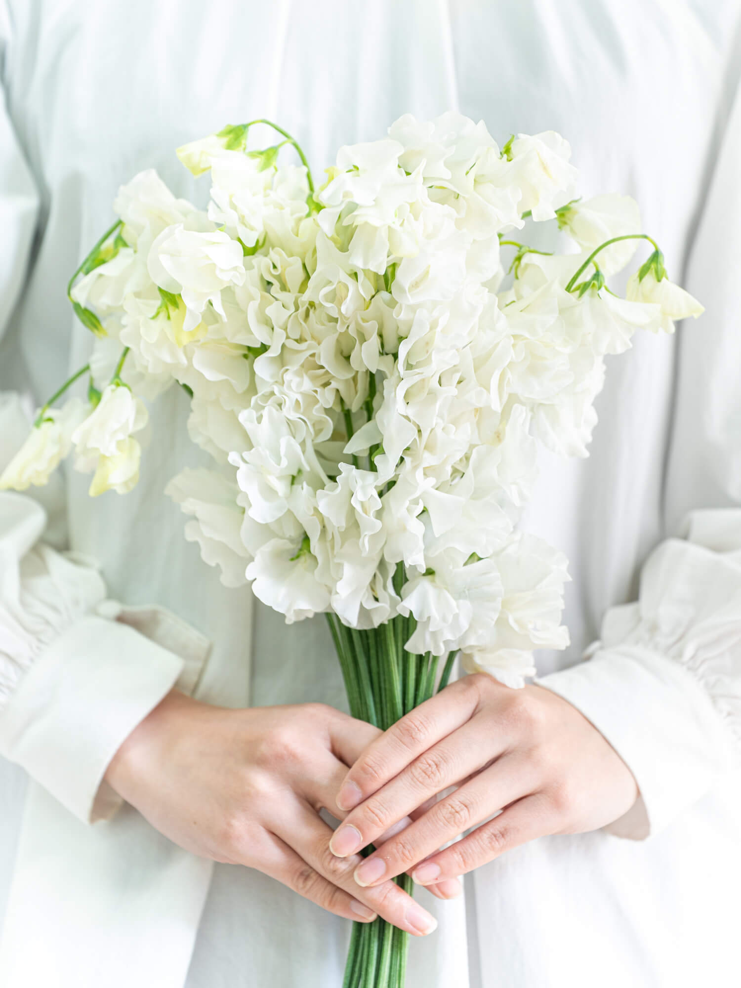 クレイフラワー 専用 スイートピー 菜の花