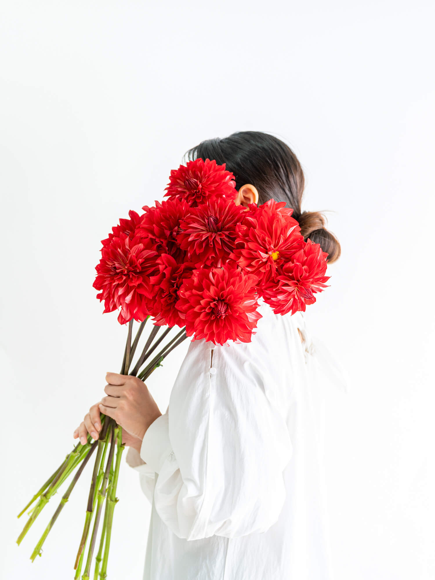 ダリア（赤）おまかせ品種｜花の仕入れを簡単に。花材の卸通販｜ハナイチ