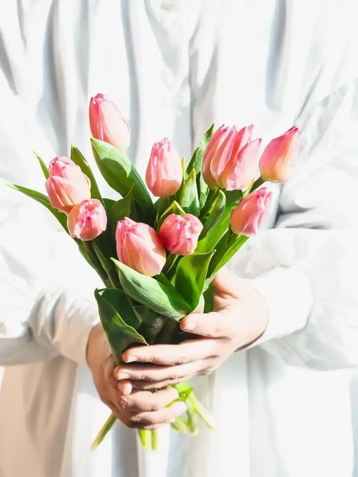 チューリップ特集｜花の仕入れを簡単に。花材の卸通販｜ハナイチ