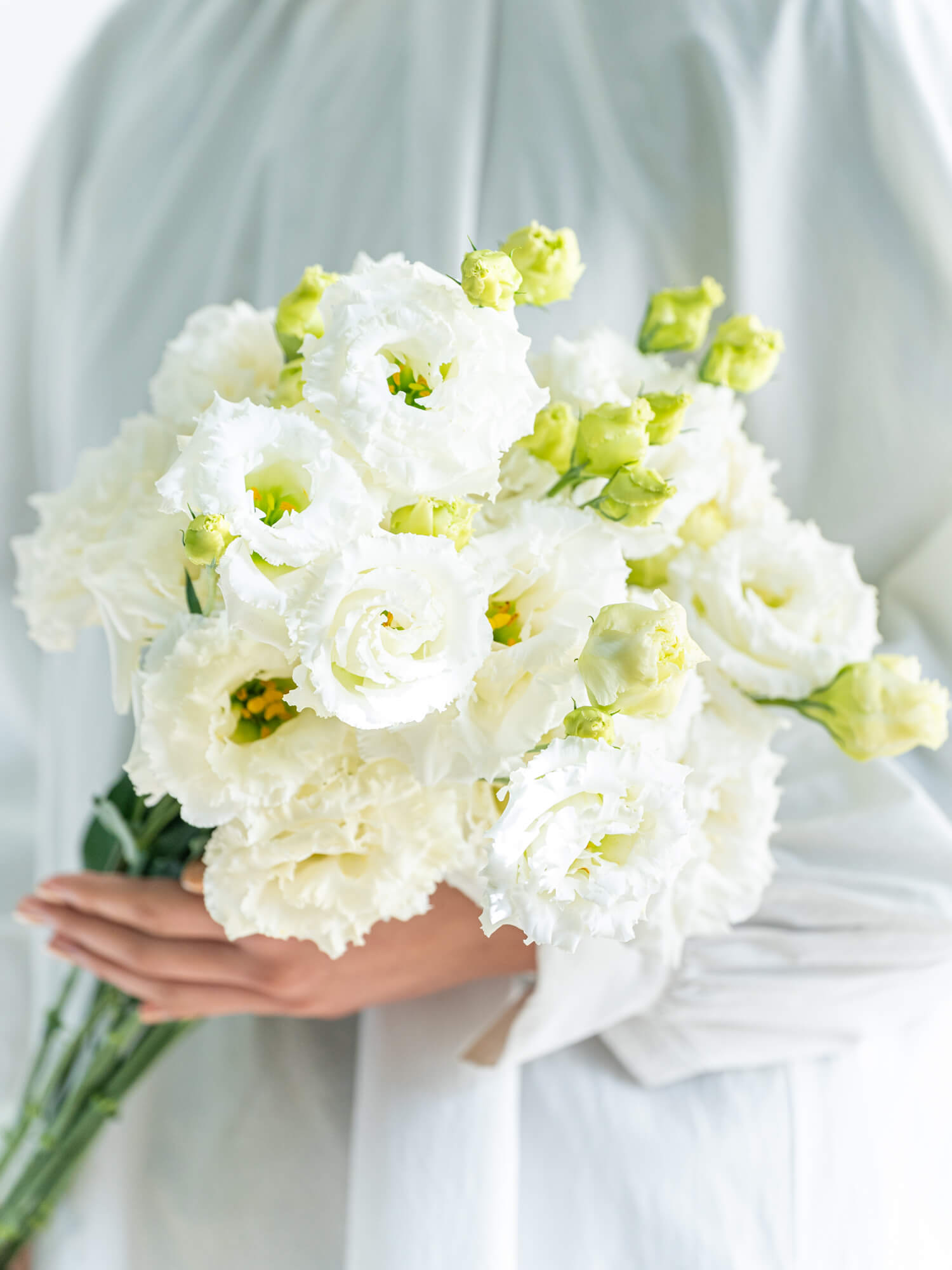 トルコキキョウ（白）おまかせ品種｜花の仕入れを簡単に。花材の卸通販