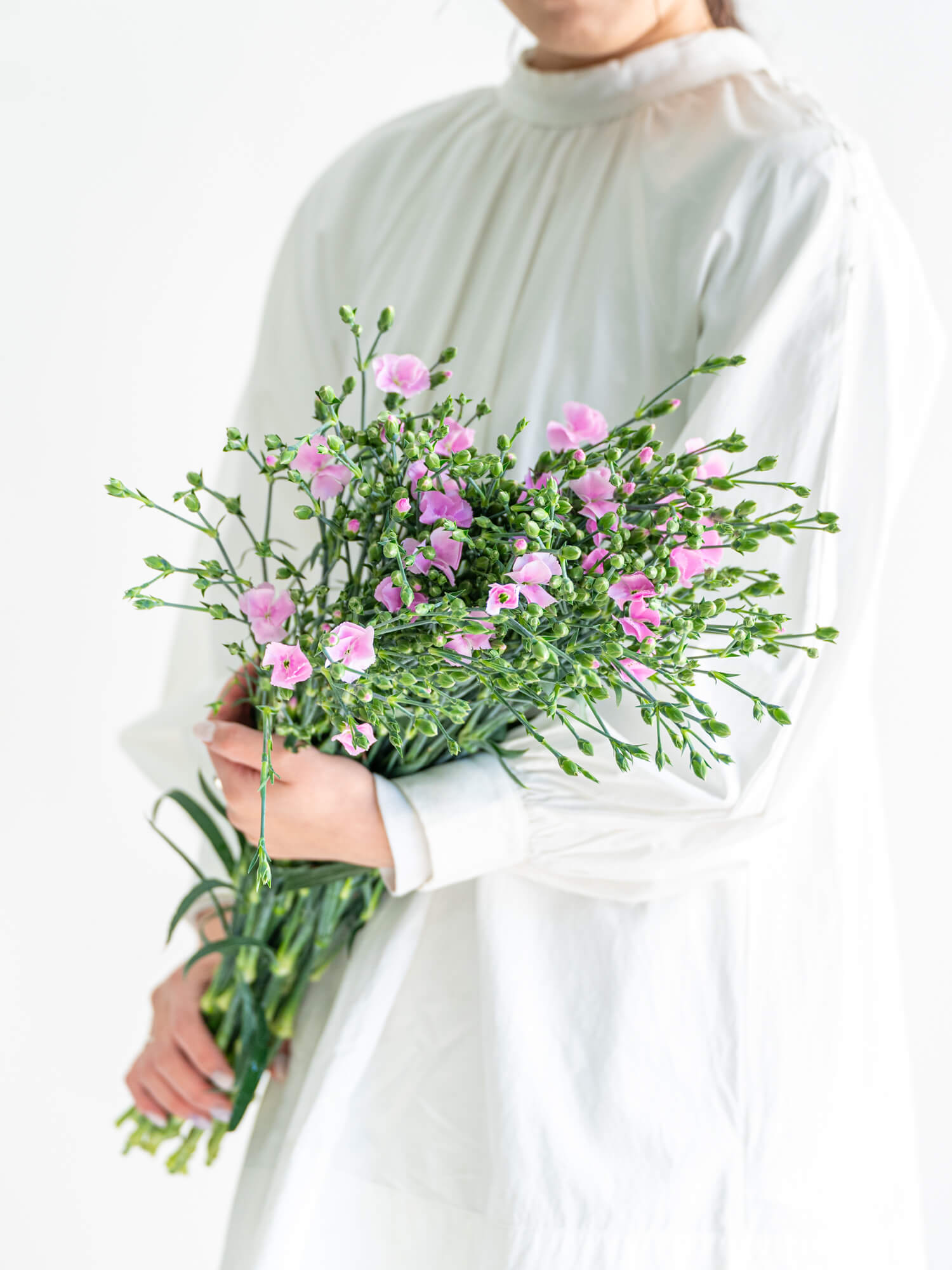 ソリダスター（黄）ソリダコ｜花の仕入れを簡単に。花材の卸通販｜ハナイチ