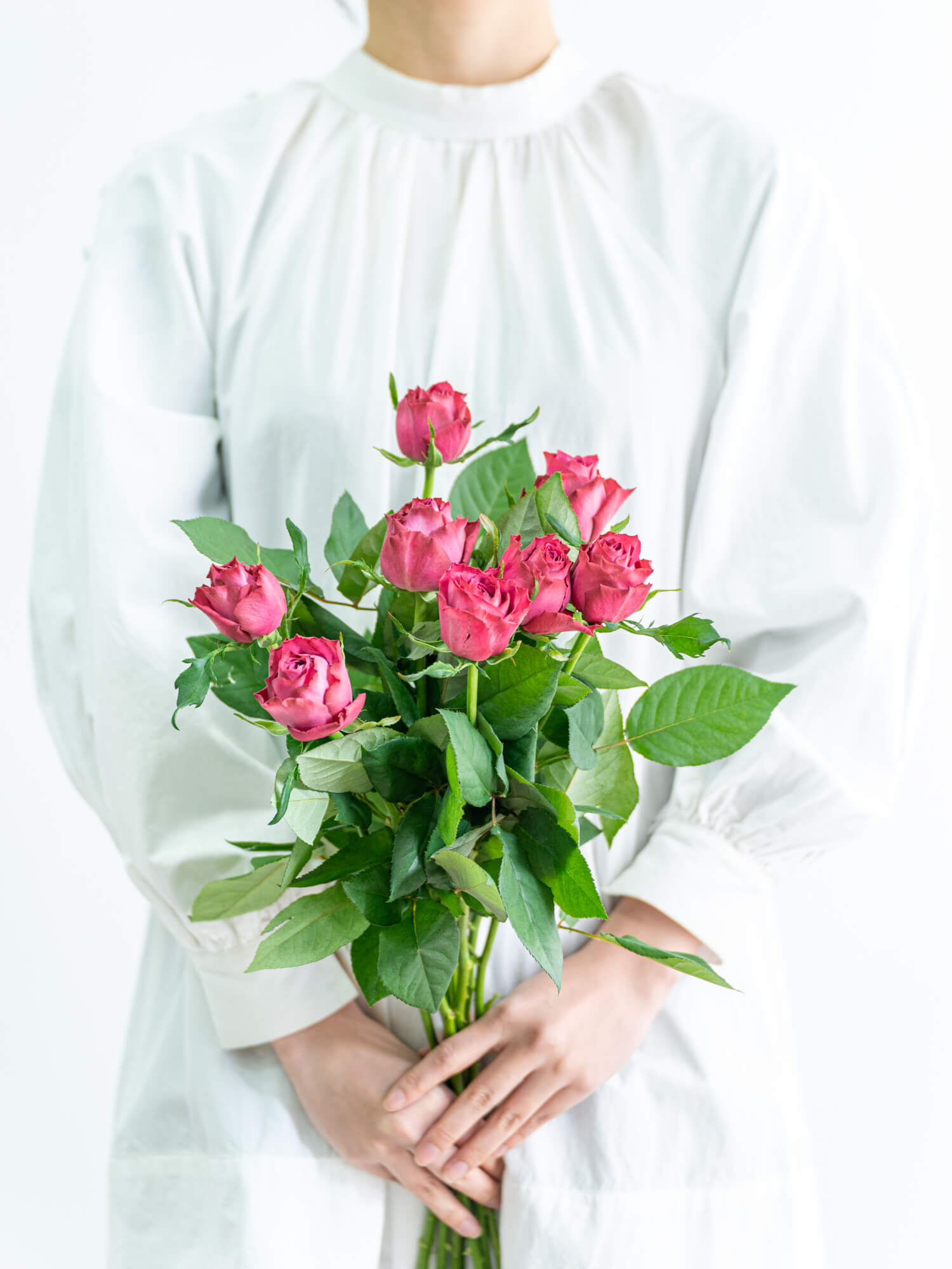 バラ（紫）おまかせ品種｜花の仕入れを簡単に。花材の卸通販｜ハナイチ