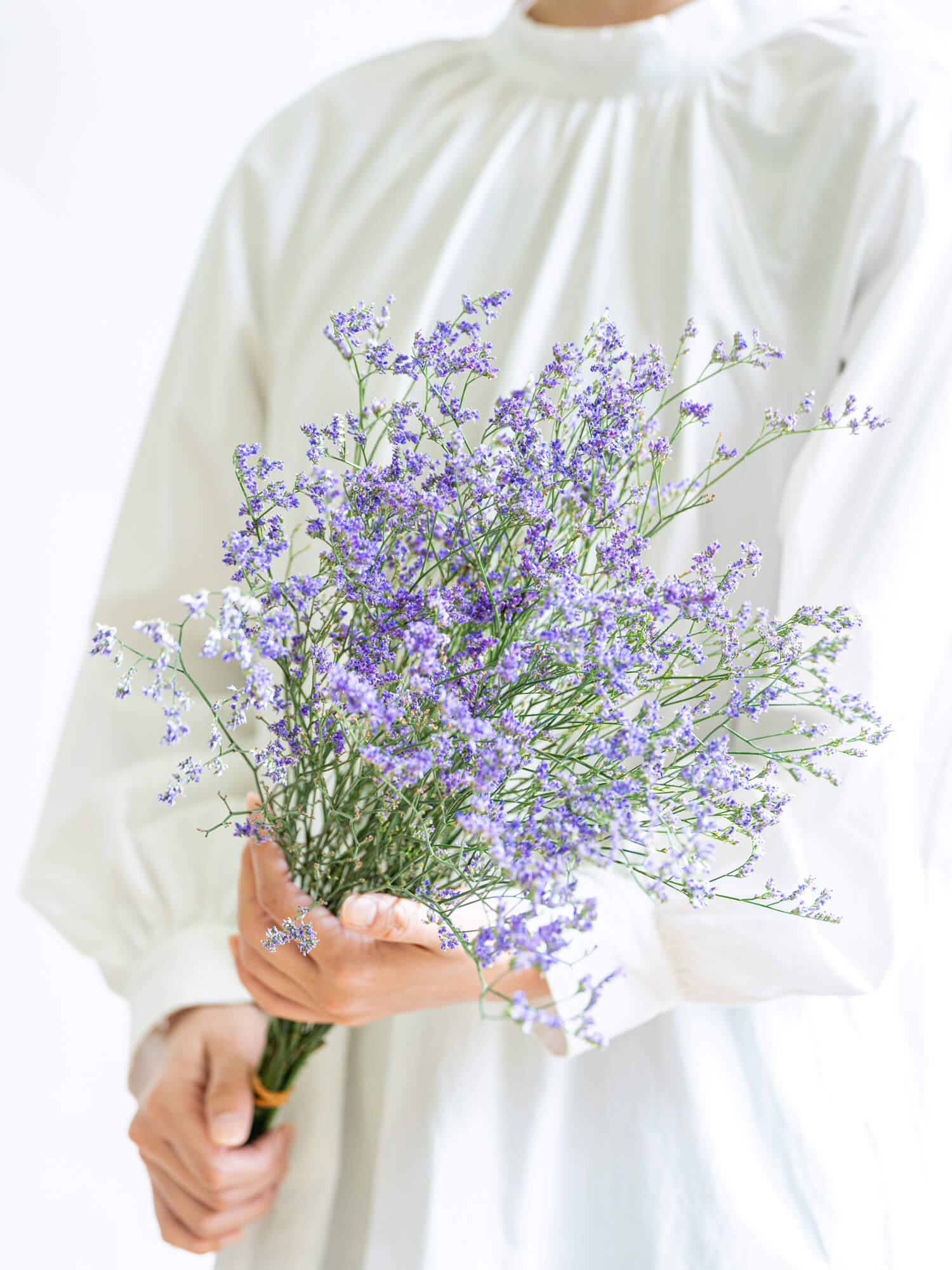 スターチスの花材｜花の仕入れを簡単に。花材の卸通販｜ハナイチ