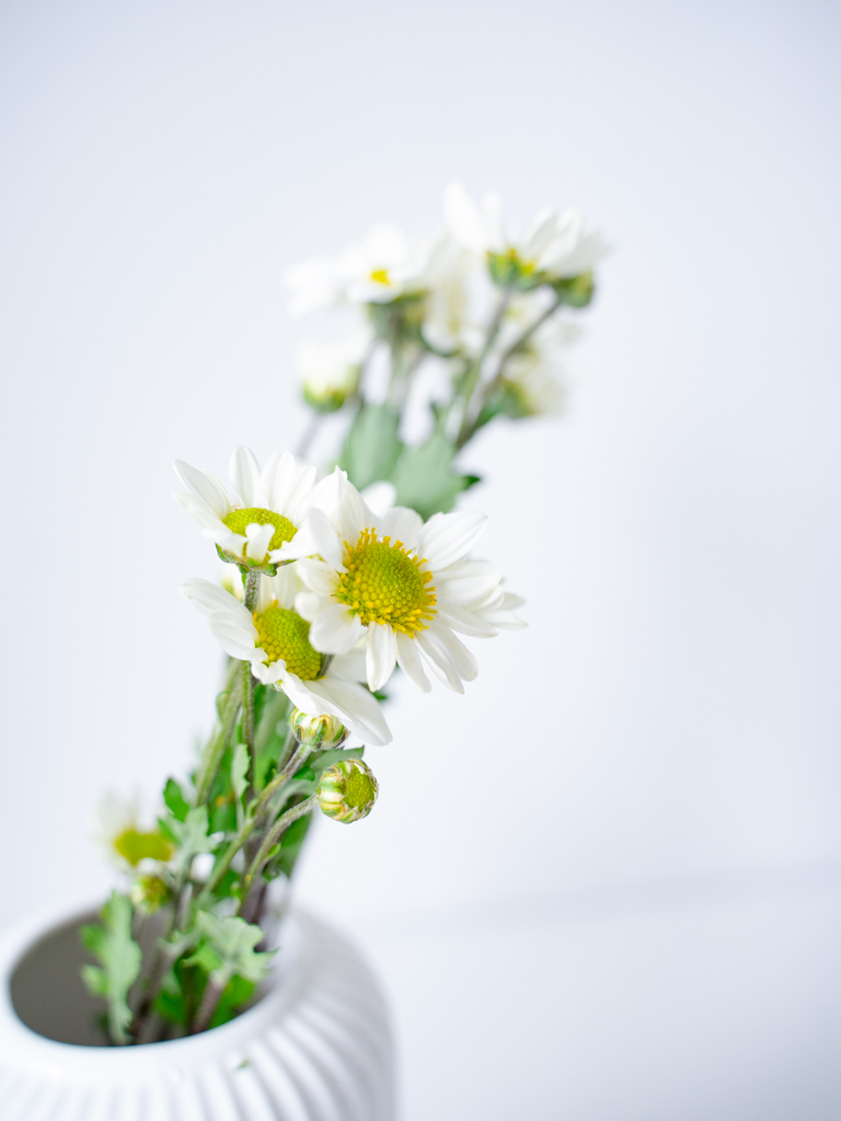 【白菊】オーダー2品 白菊 純米吟醸原酒60（ブルーラベル）720ml | Sake World