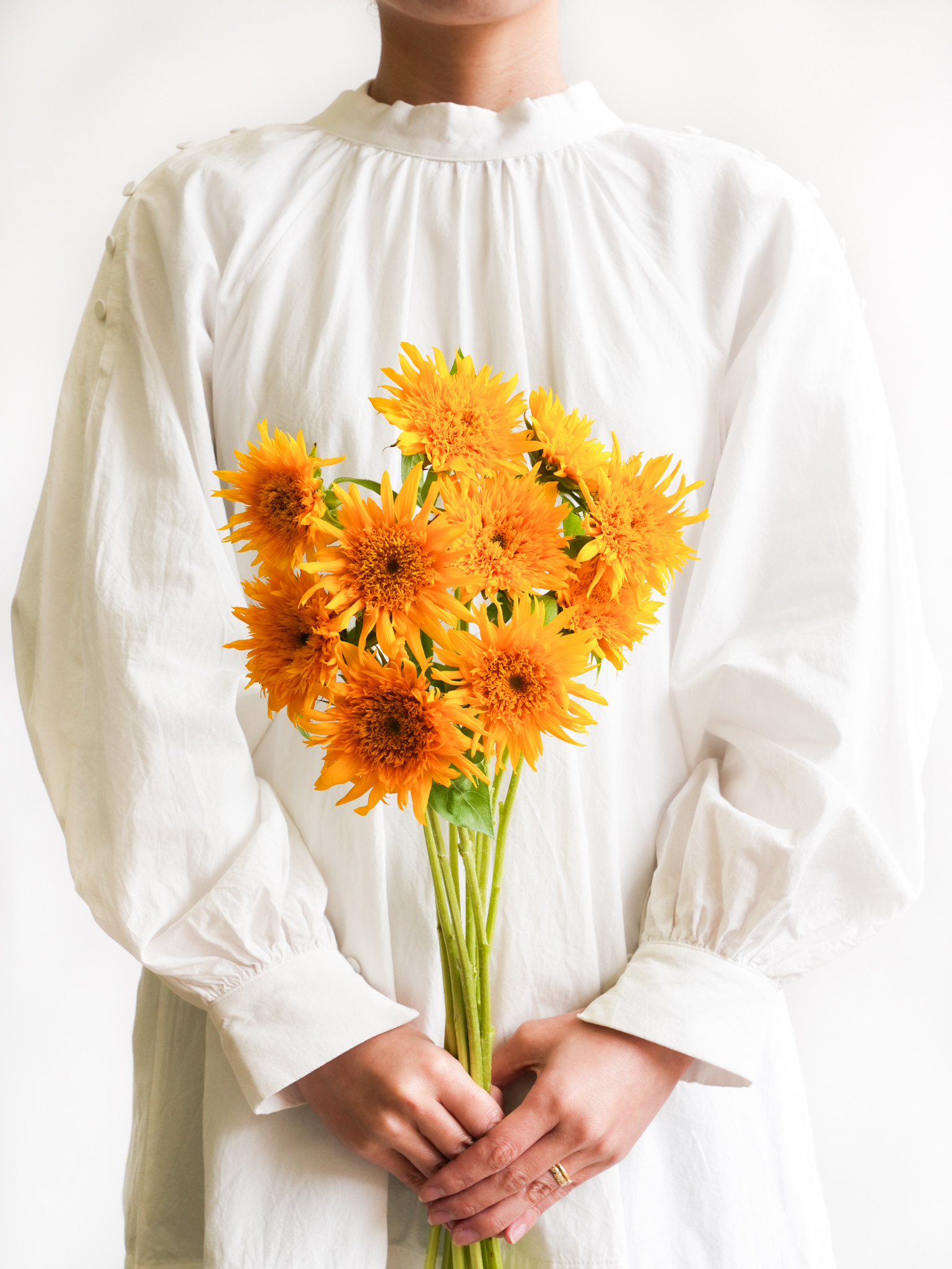 ひまわり（オレンジ）マヤダブル｜ハナイチ｜花と植物、資材の仕入れサイト