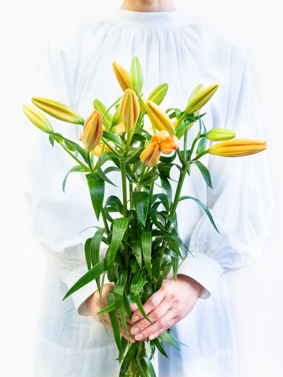 LAユリ （オレンジ） エレモ｜ハナイチ｜花と植物、資材の仕入れ